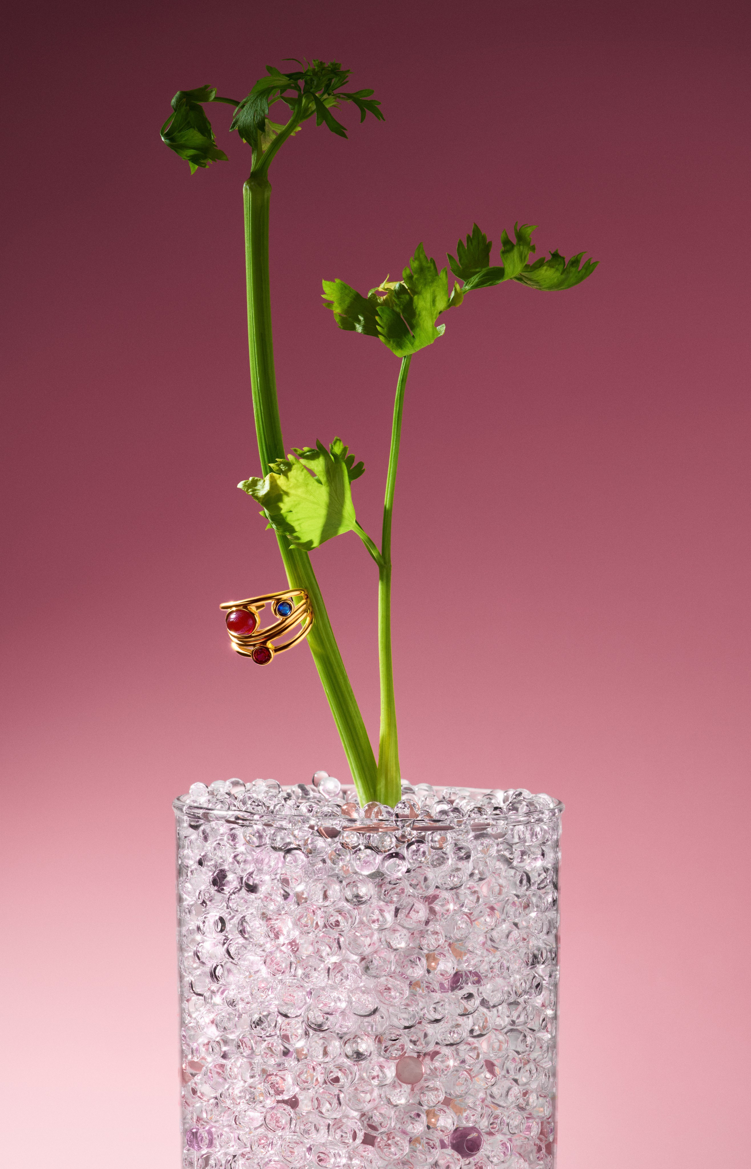 Jewelry. Retouching service