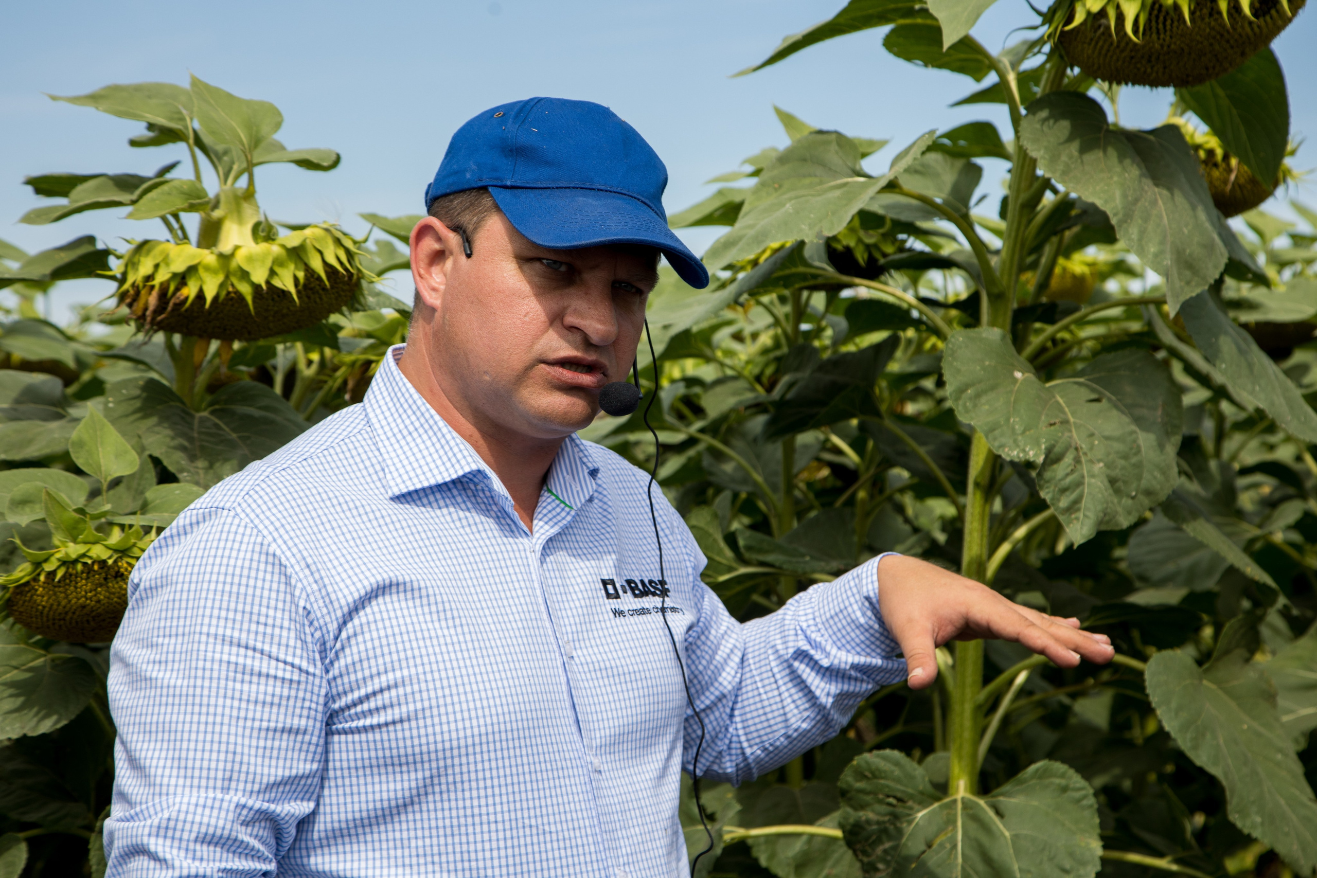 Решения для сельского хозяйства BASF 16.08.2022. Владислав Волков | Фотография и видеосъемка в Воронеже