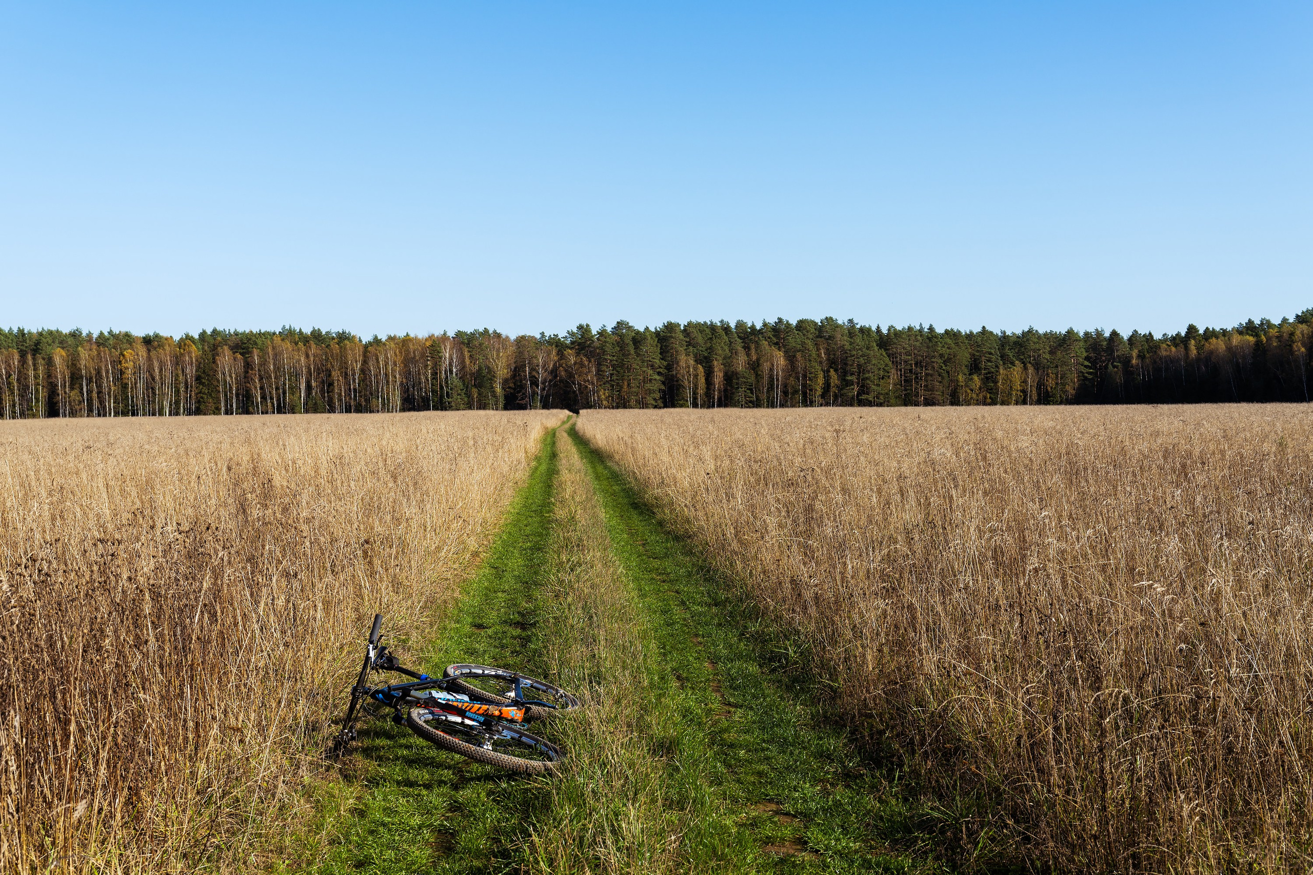 Фотографии Национальный парк Угра. Фотограф спортивные события, недвижимость, турбизнес