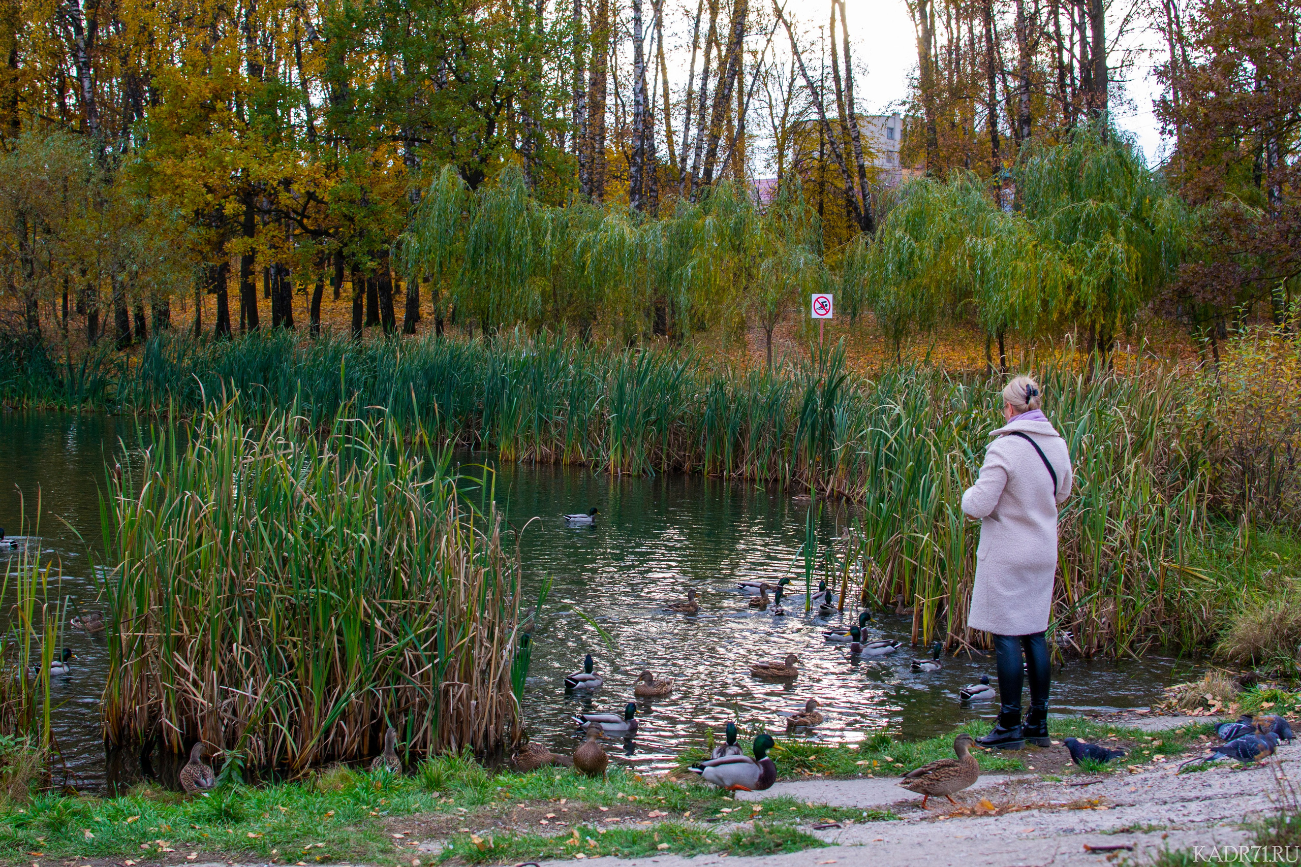 Центральный парк культуры и отдыха им. П. П. Белоусова. Фотограф в Туле Крупский АнДРей. Фотостудия «КАДР71» в Туле