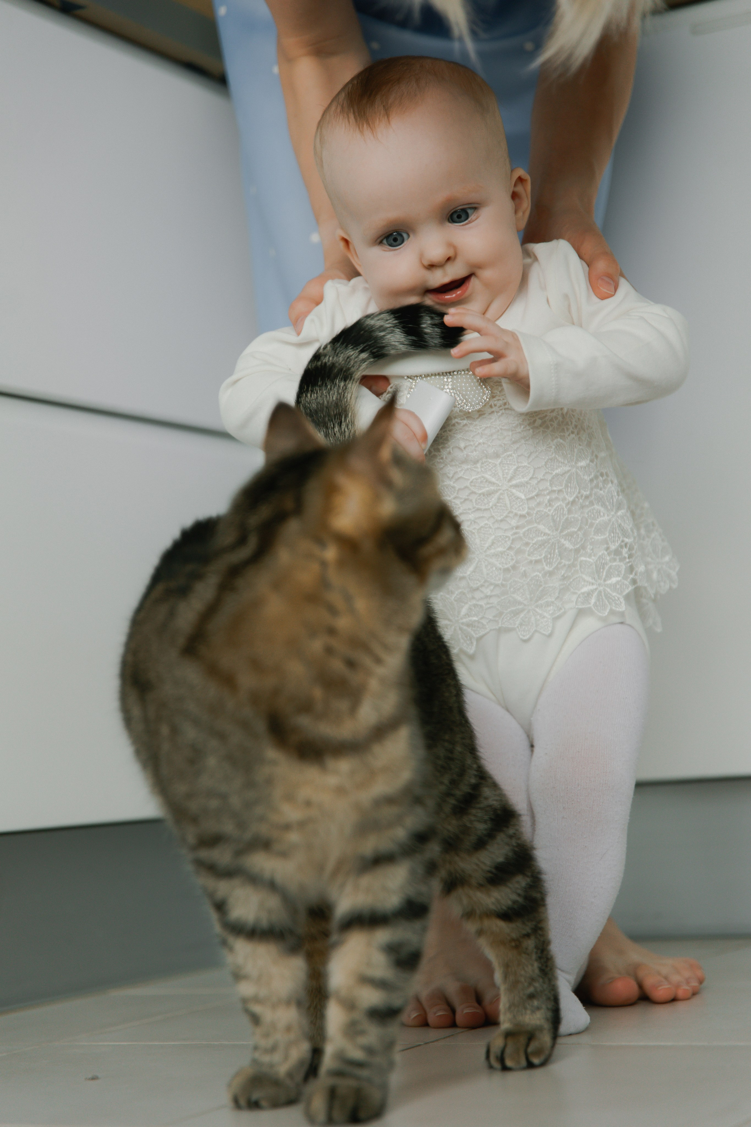 Polja. Главная