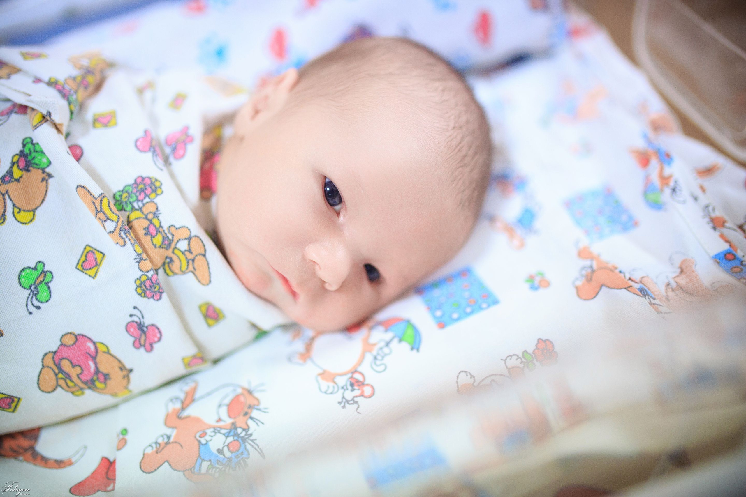 Фотосессия выписки из роддома в Краснодаре | Портфолио Fotogen. Интерьерная фотостудия FOTOGEN г. Краснодар