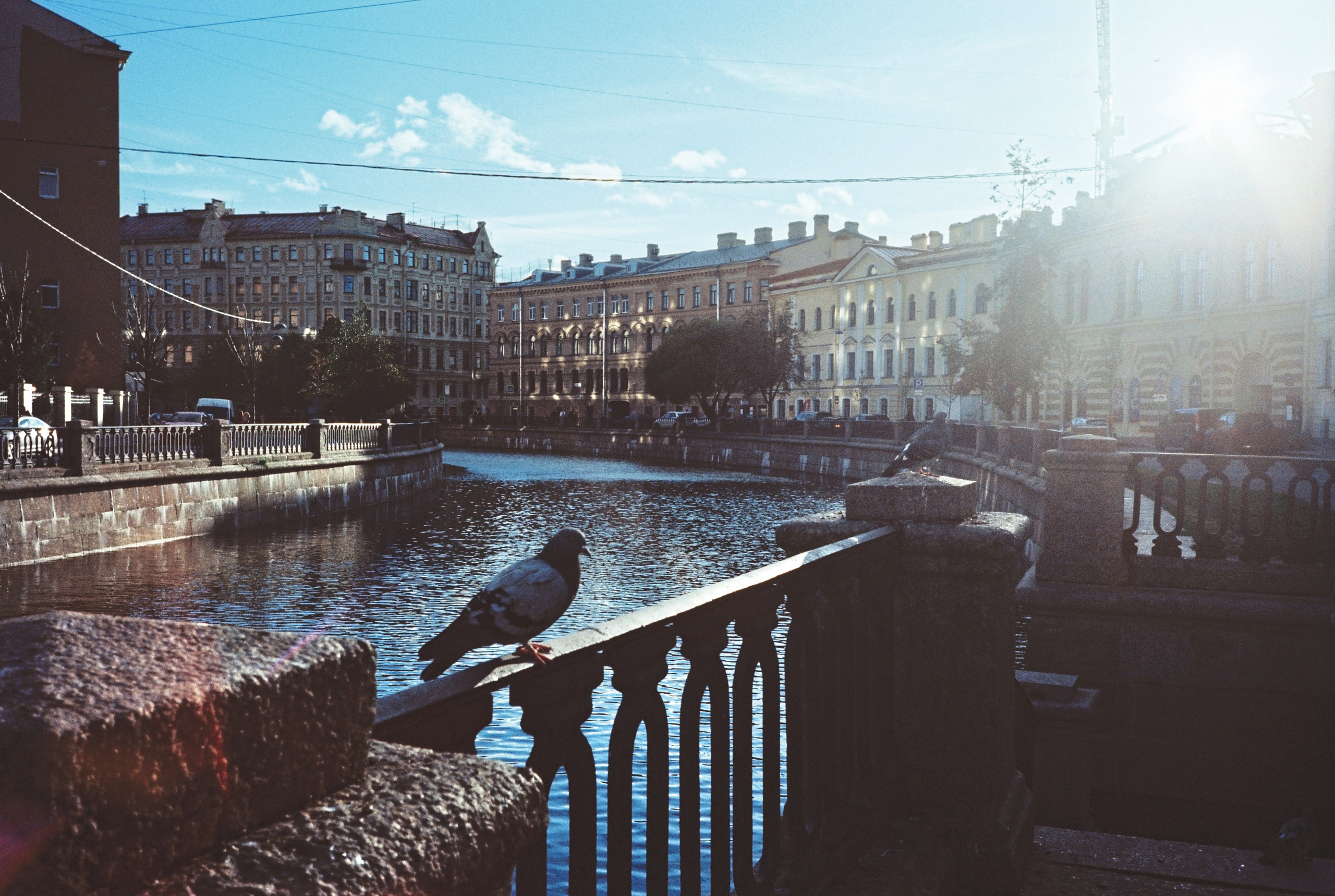 Фотографии цветные. Свадебный и семейный пленочный фотограф в Петербурге Истомина Ирина