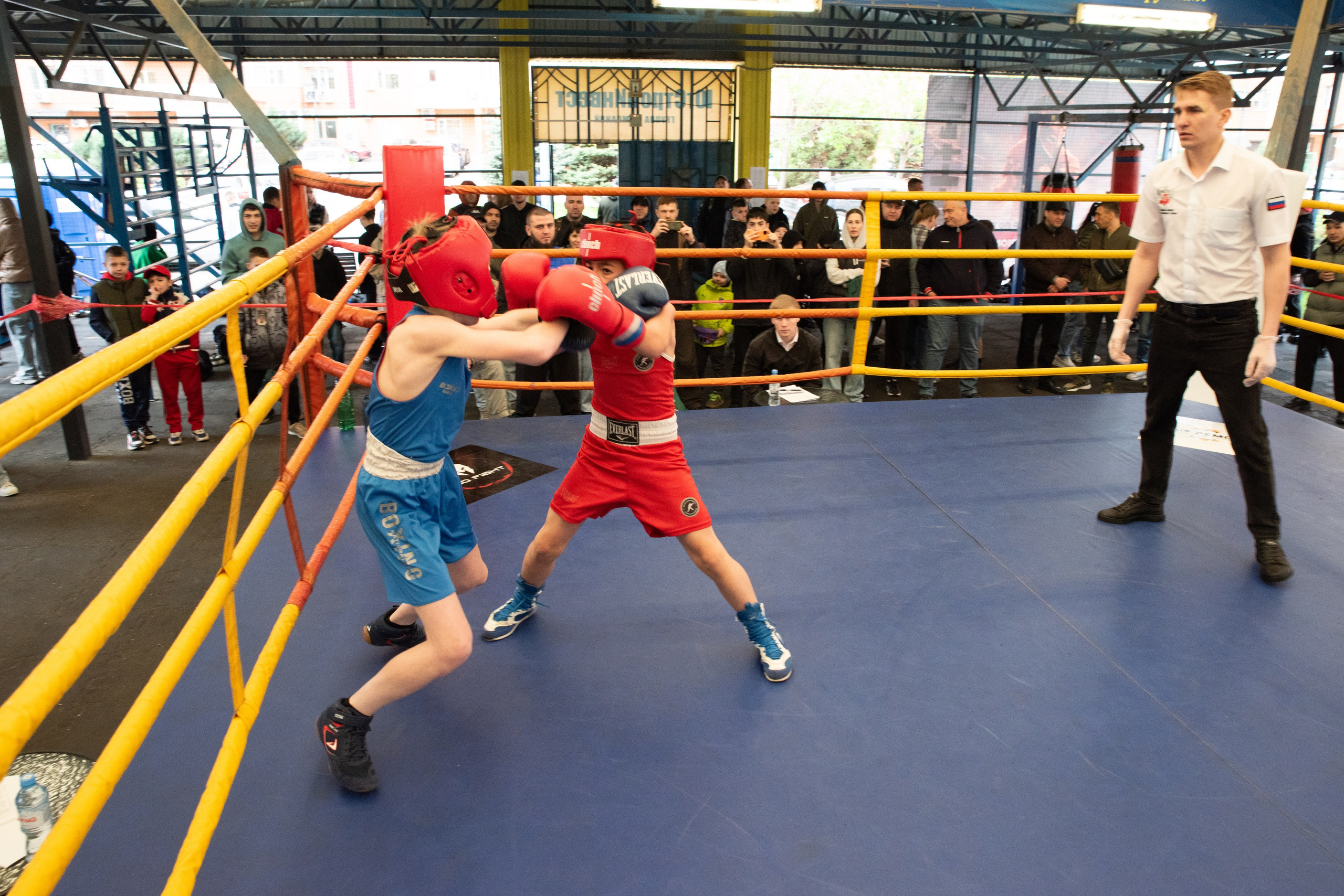 Соревнования GO FIGHT. Фотограф в Краснодаре Анна Карелина