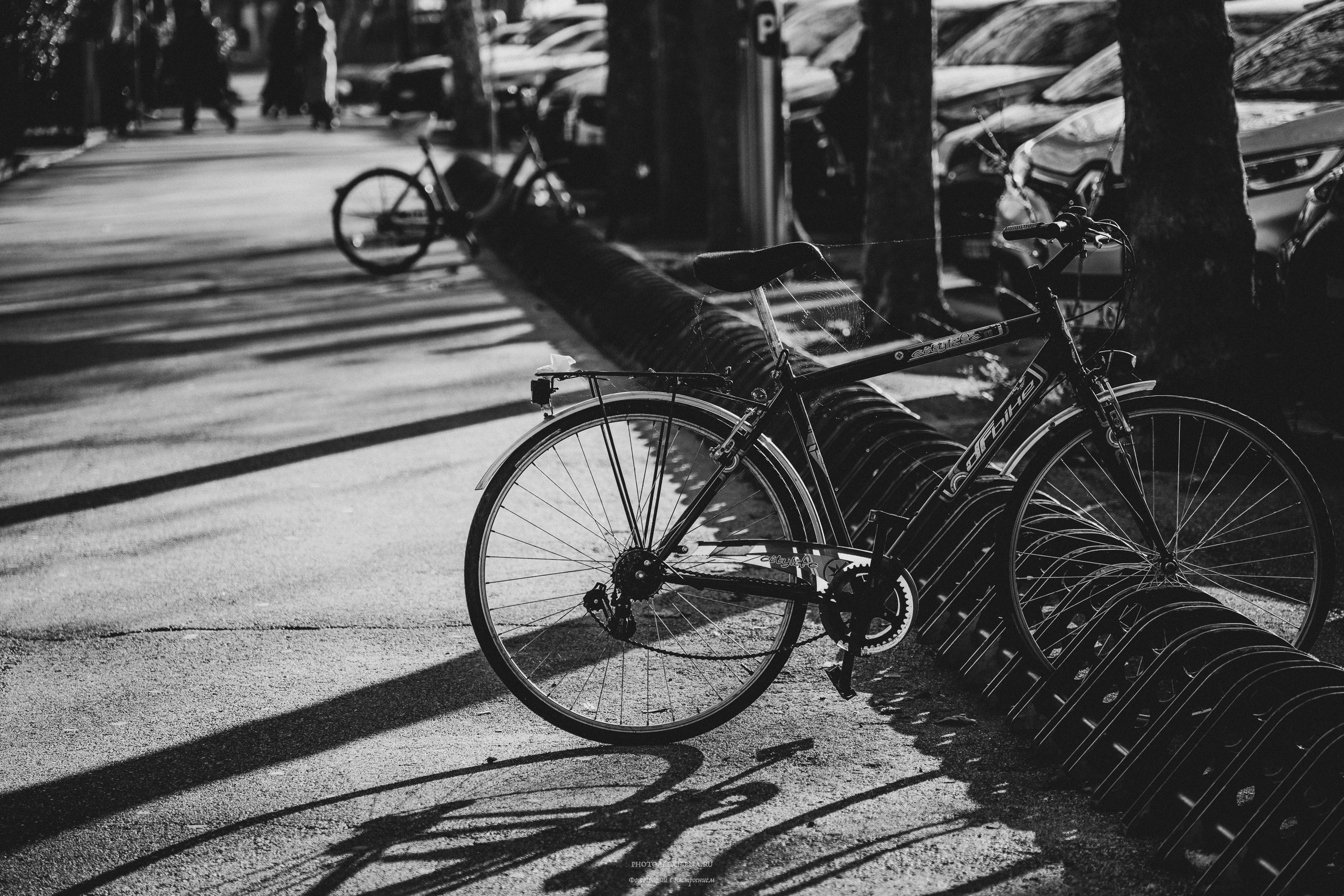 Сирмионе-очаровательный городок на озере Гарда. Авторские стильные фотокартины