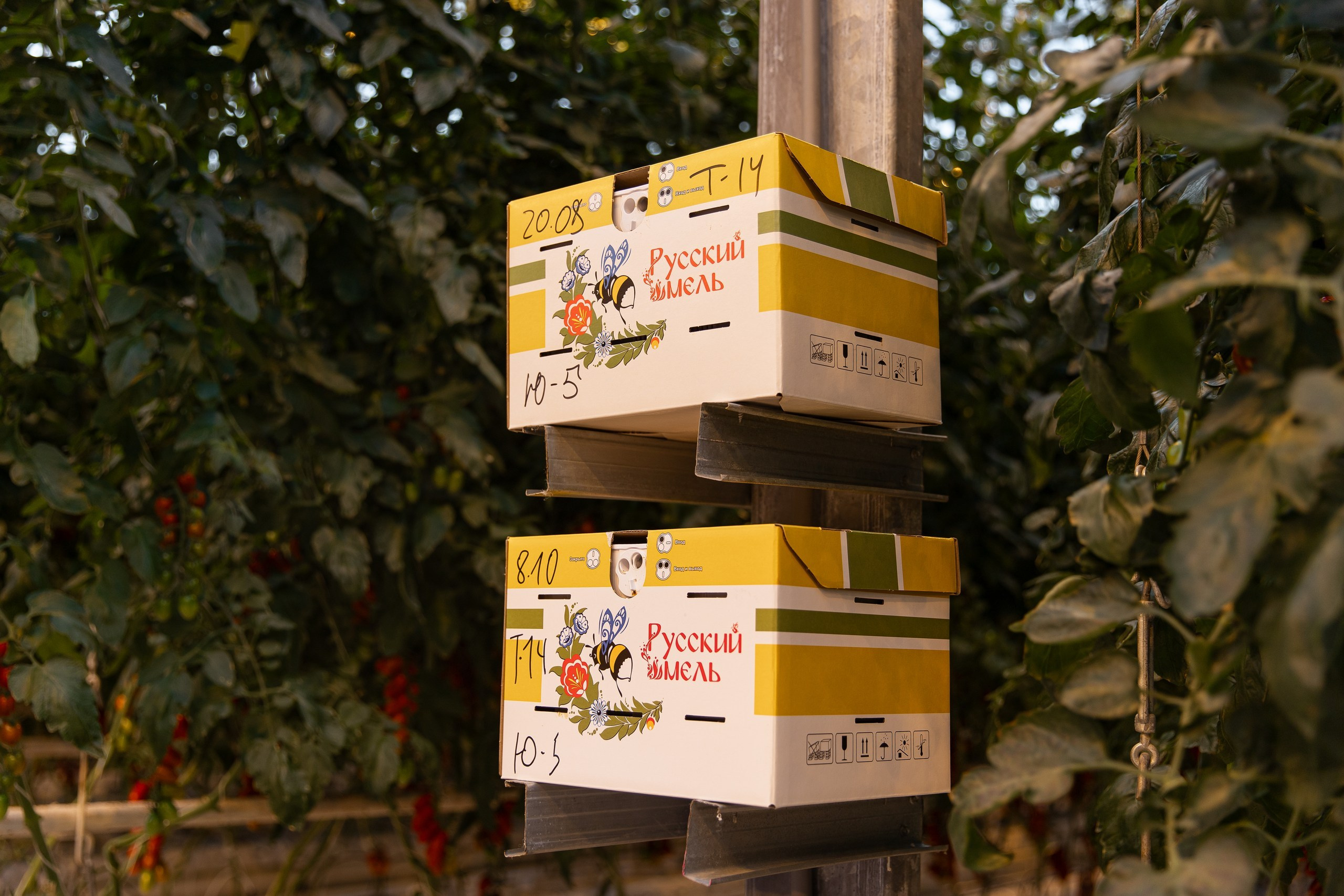 Производство. Фотограф Николай Петрушкин | Ставрополь, Москва