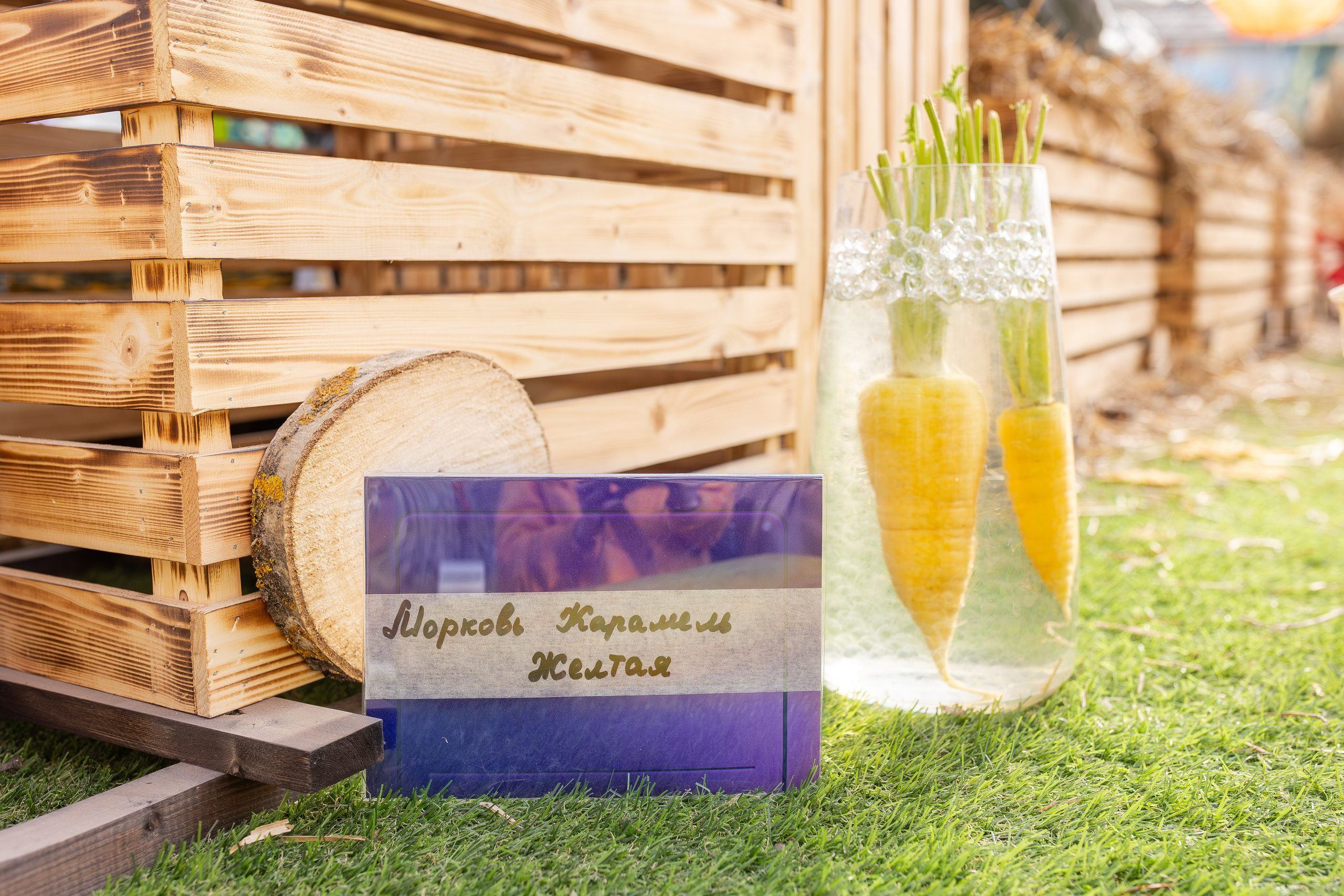 Овощи-гиганты. Александра Куликова фотограф, Москва