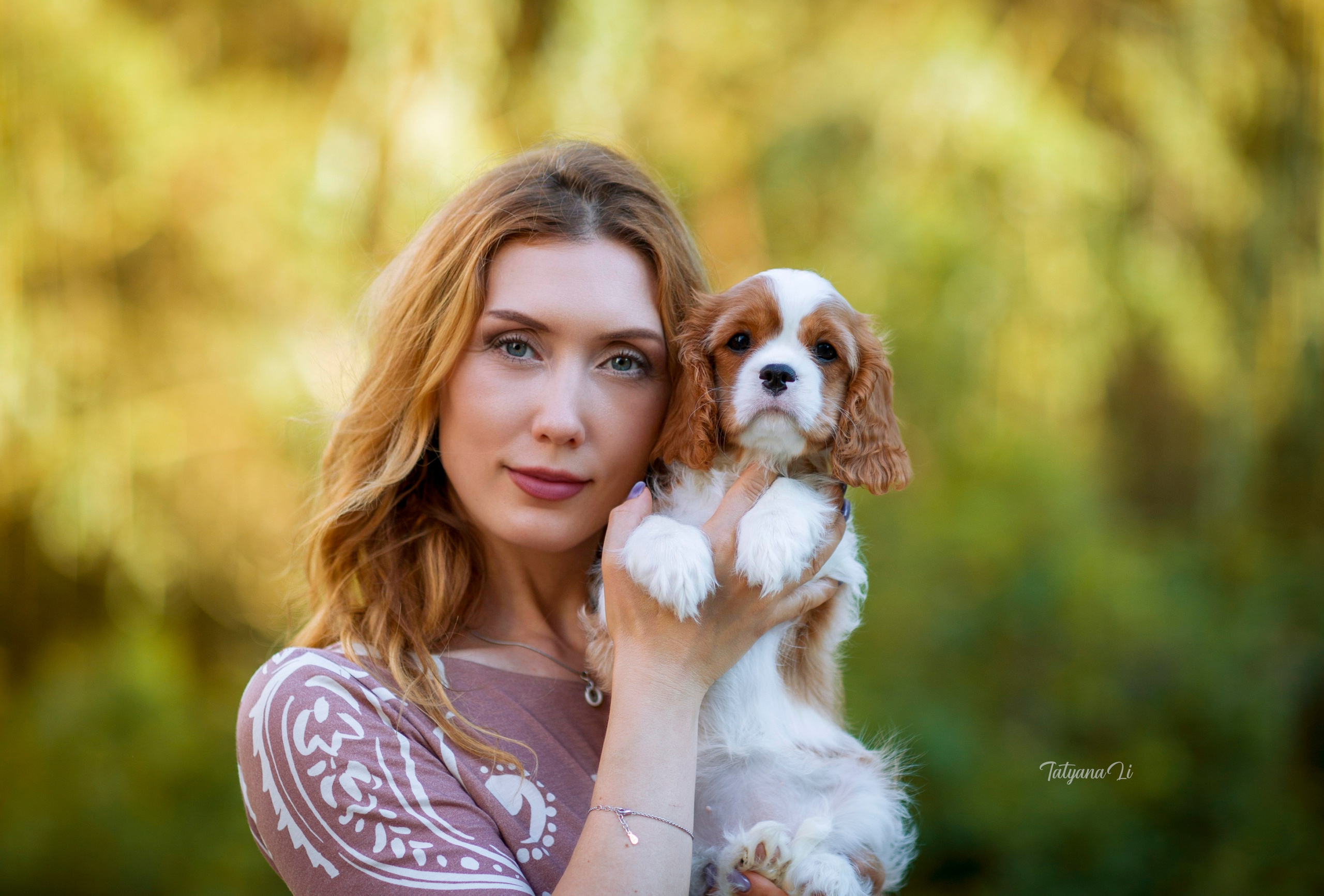 Кавалер-Кинг-Чарльз-Спаниель. Фотограф — анималист Татьяна Ли