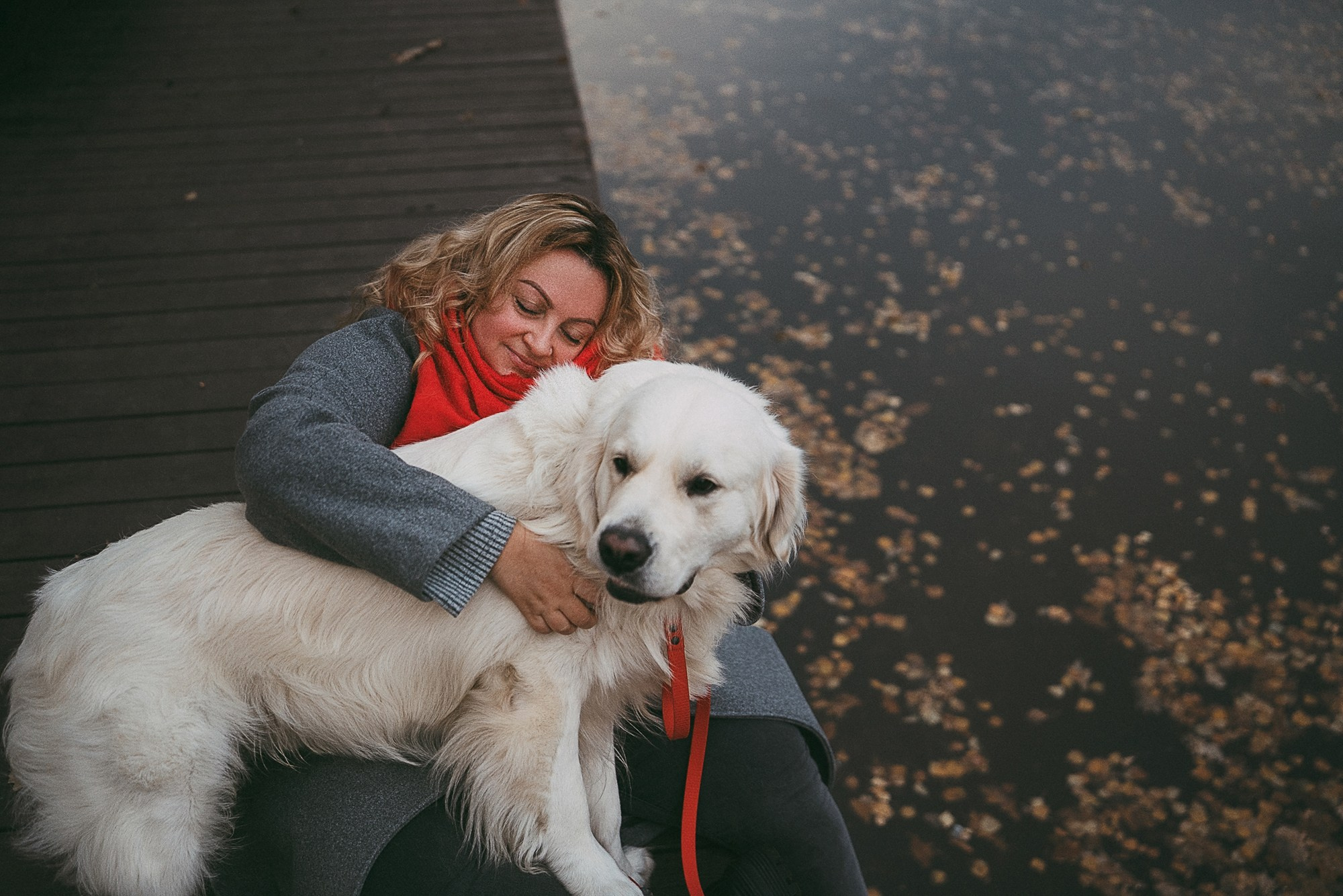 Лена и Мерлин. Фотограф анималист в Москве и Санкт-Петербурге Свиридова Анна