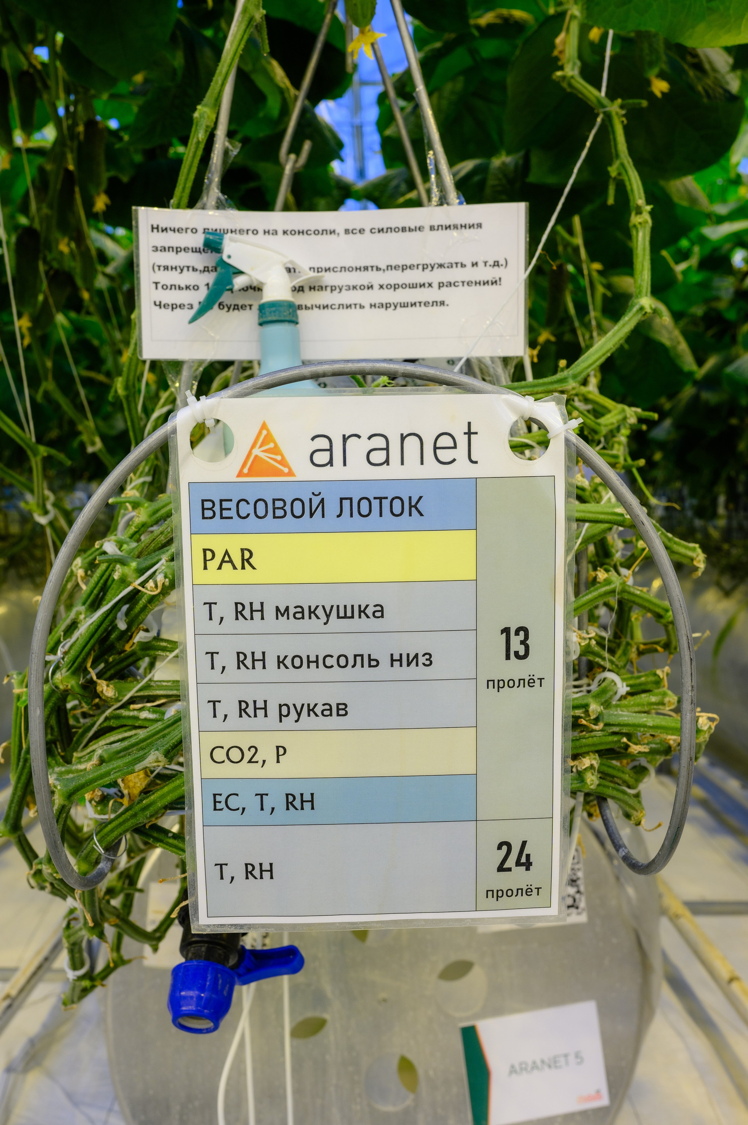 Тепличный комплекс «ПЕРМСКИЙ»