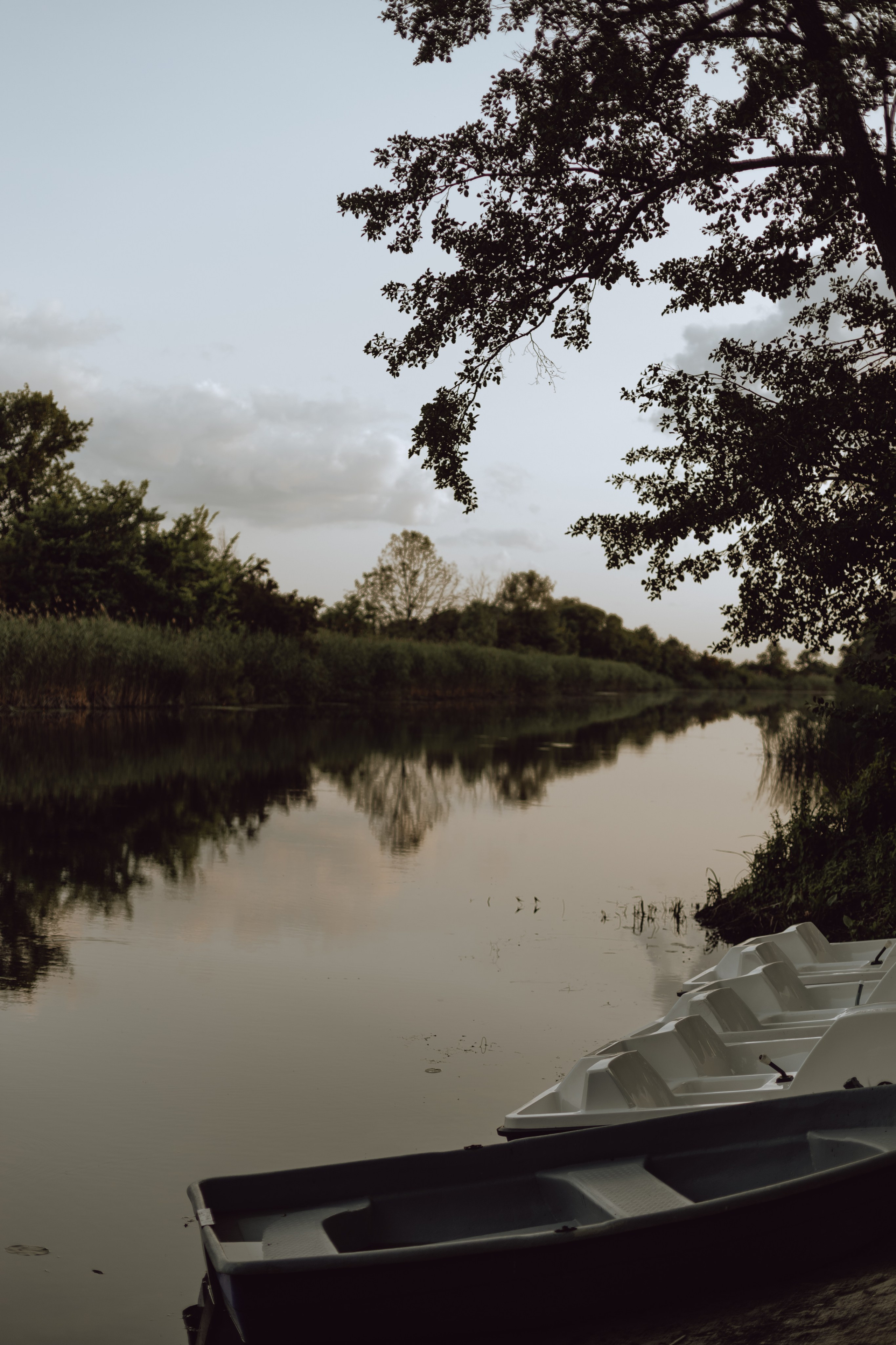 Наташа. Главная