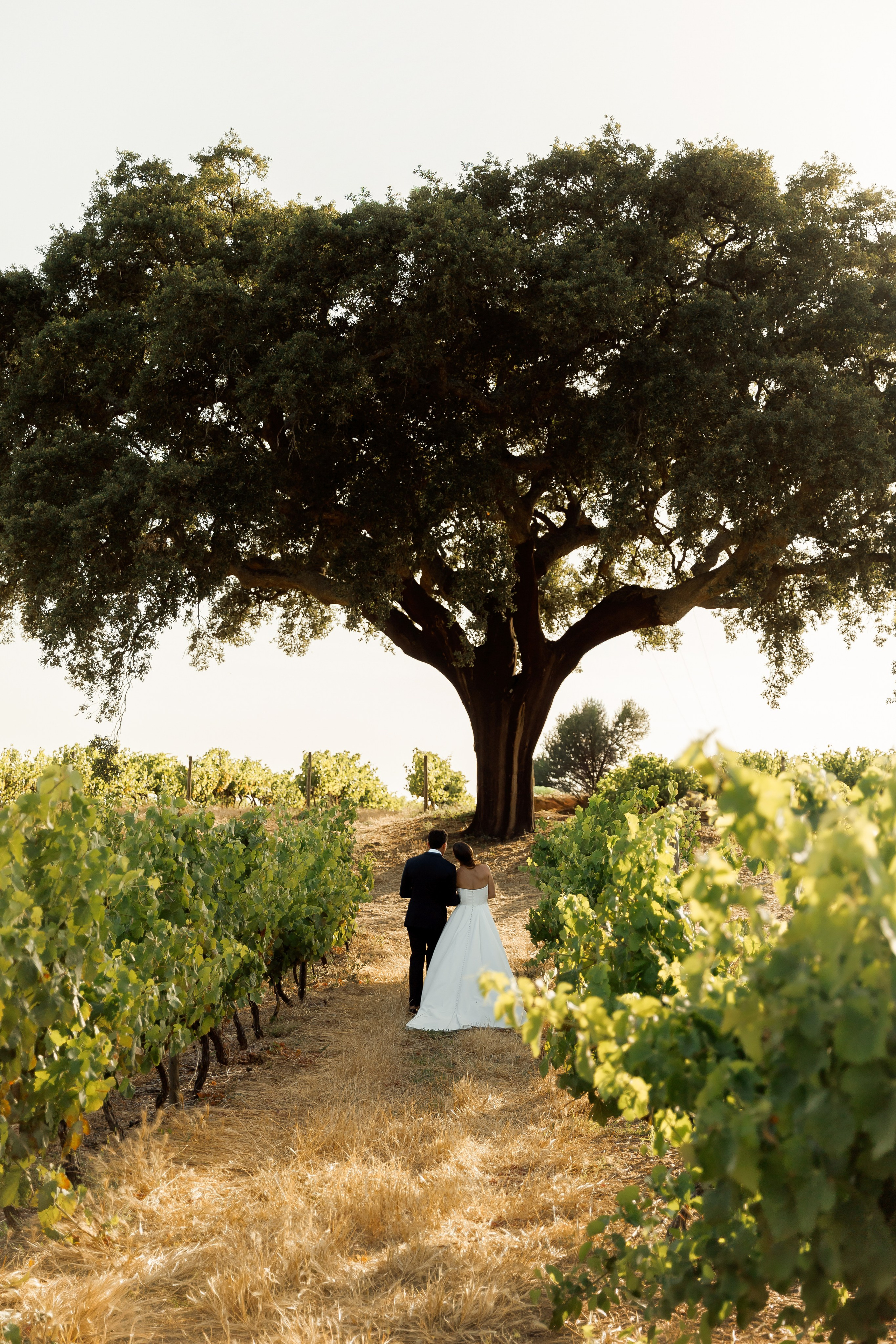 Wedding photographer