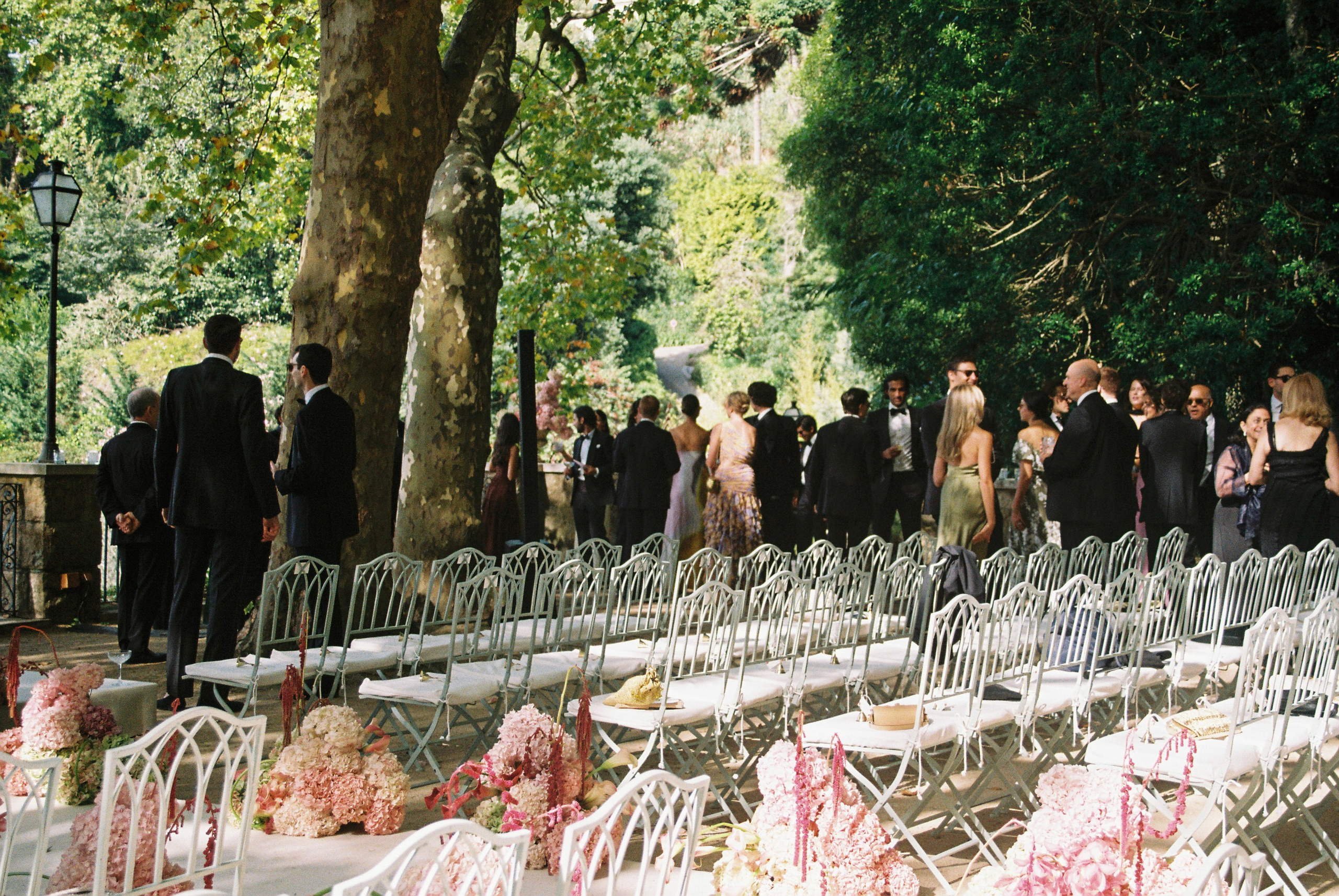 Film. Wedding photographer