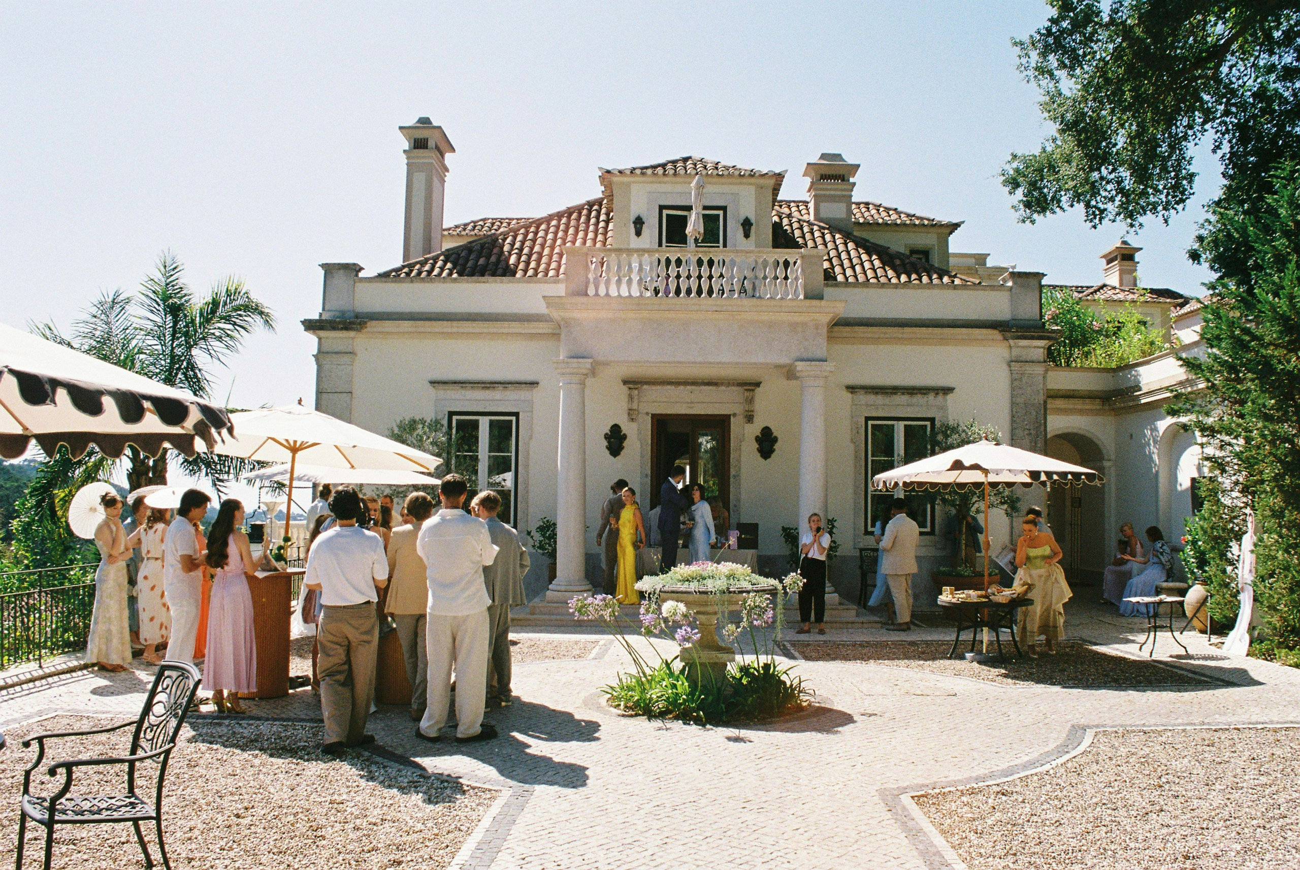 Film. Wedding photographer