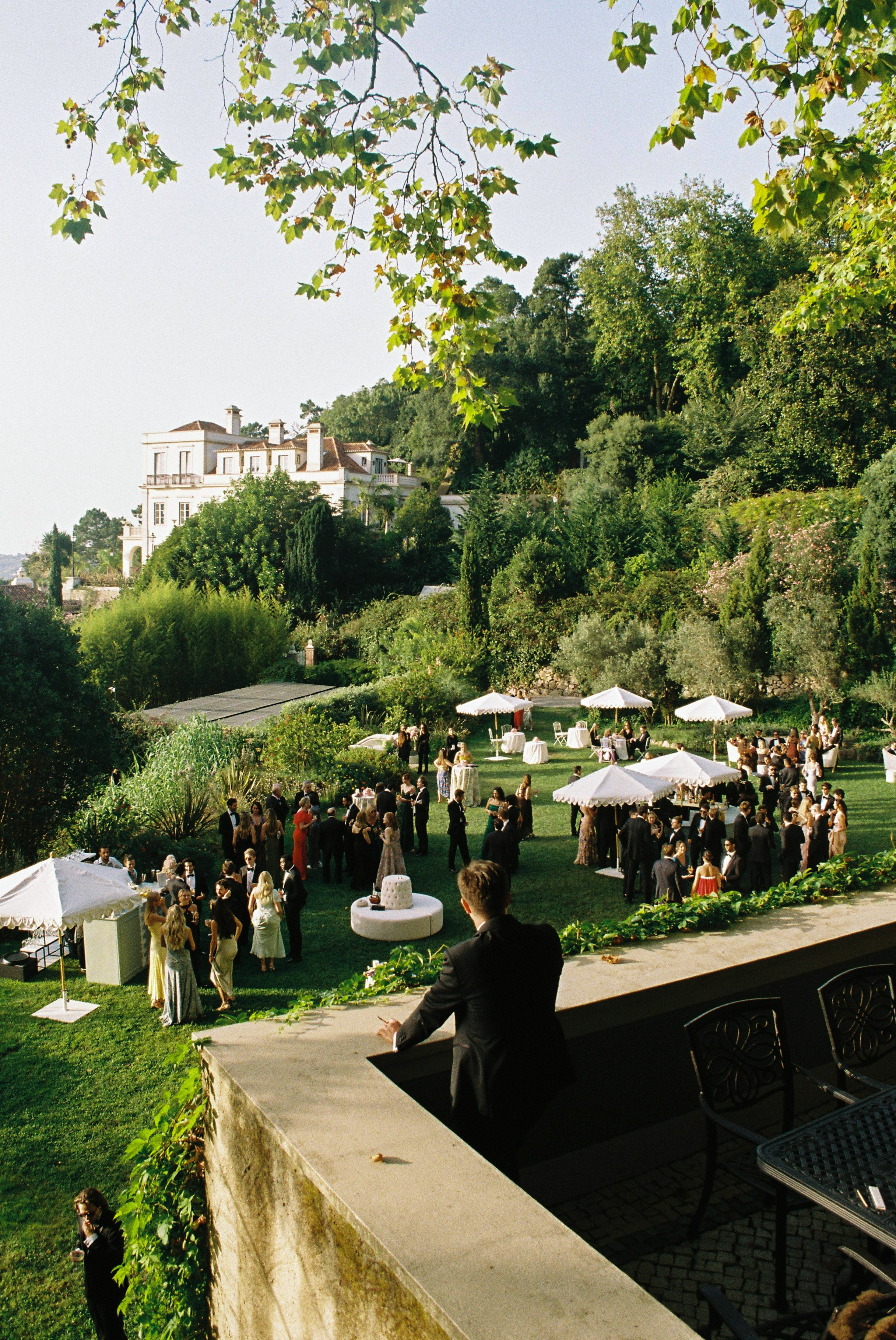 Film. Wedding photographer