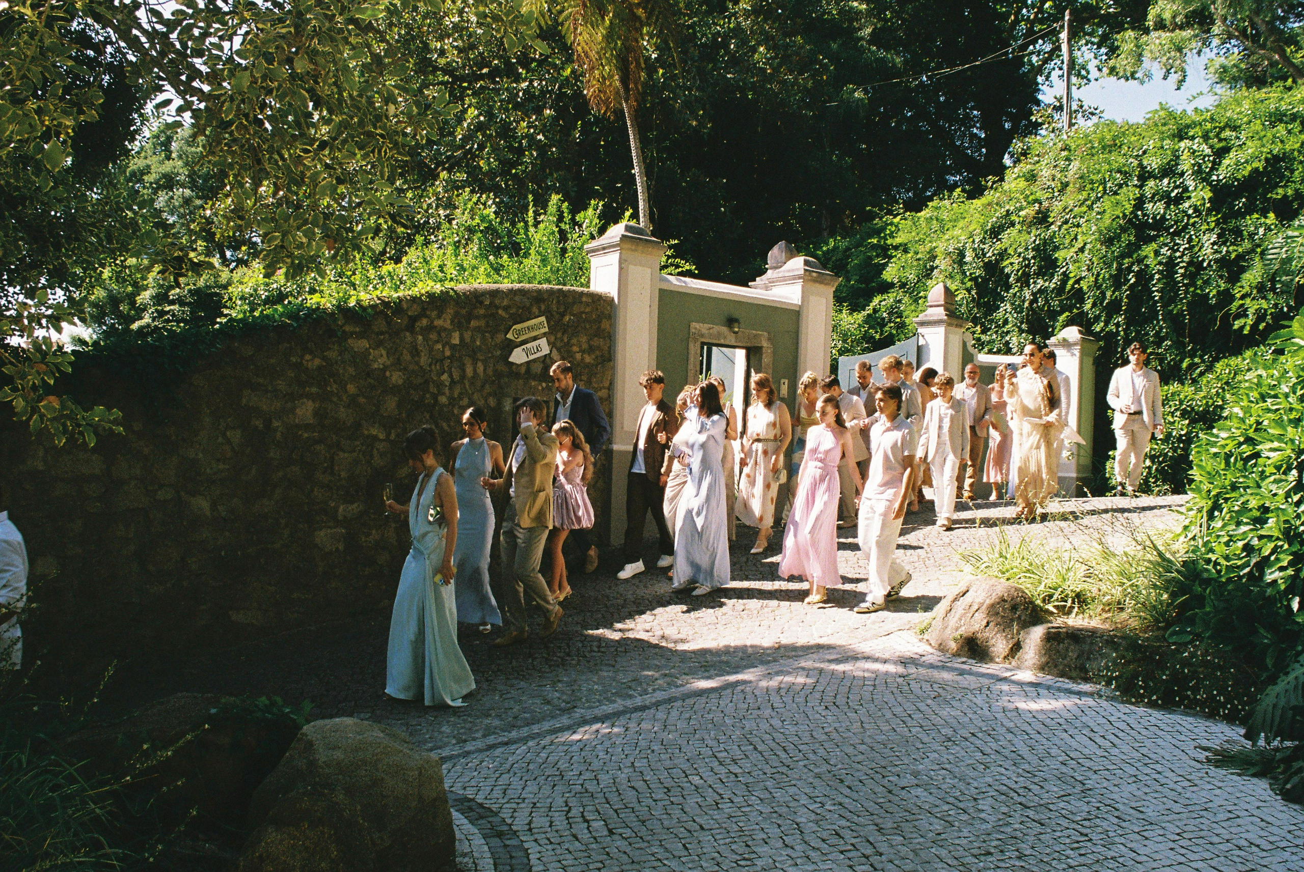 Film. Wedding photographer
