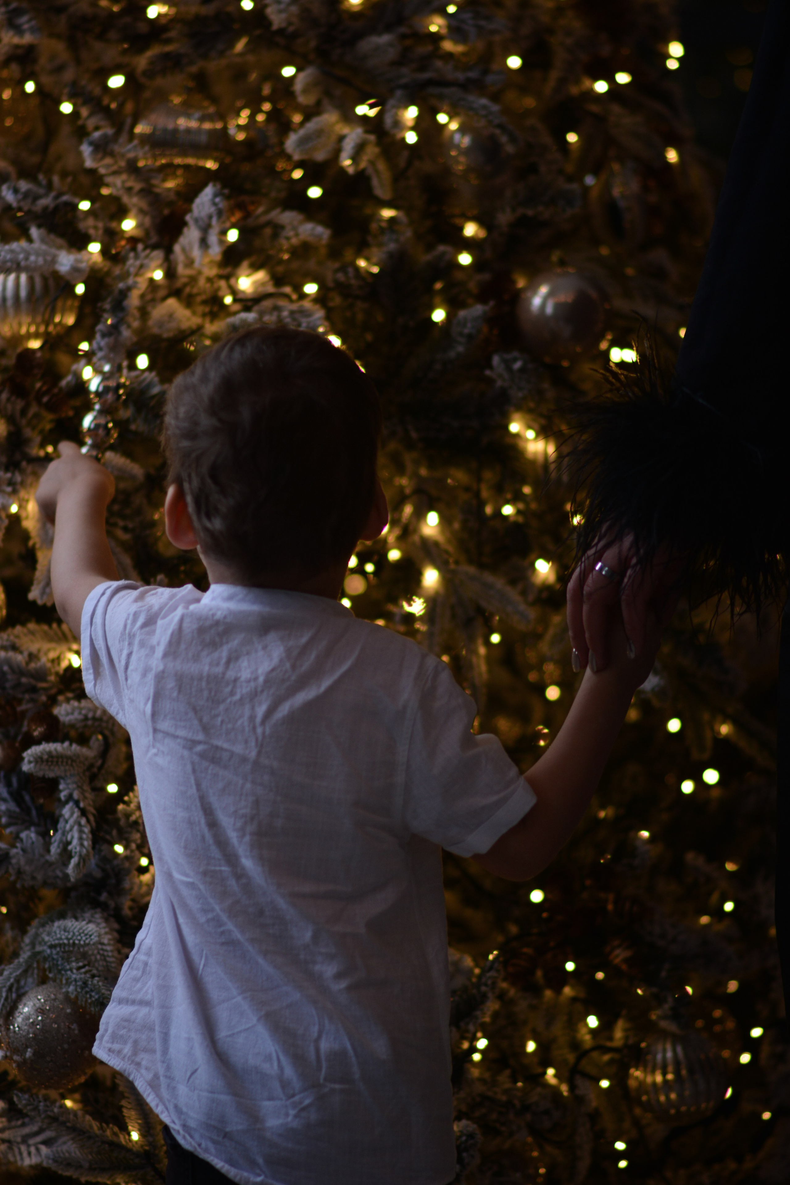 Руфина и Давид. Ph.nataluuna ФОТОГРАФ СЕРГИЕВ ПОСАД