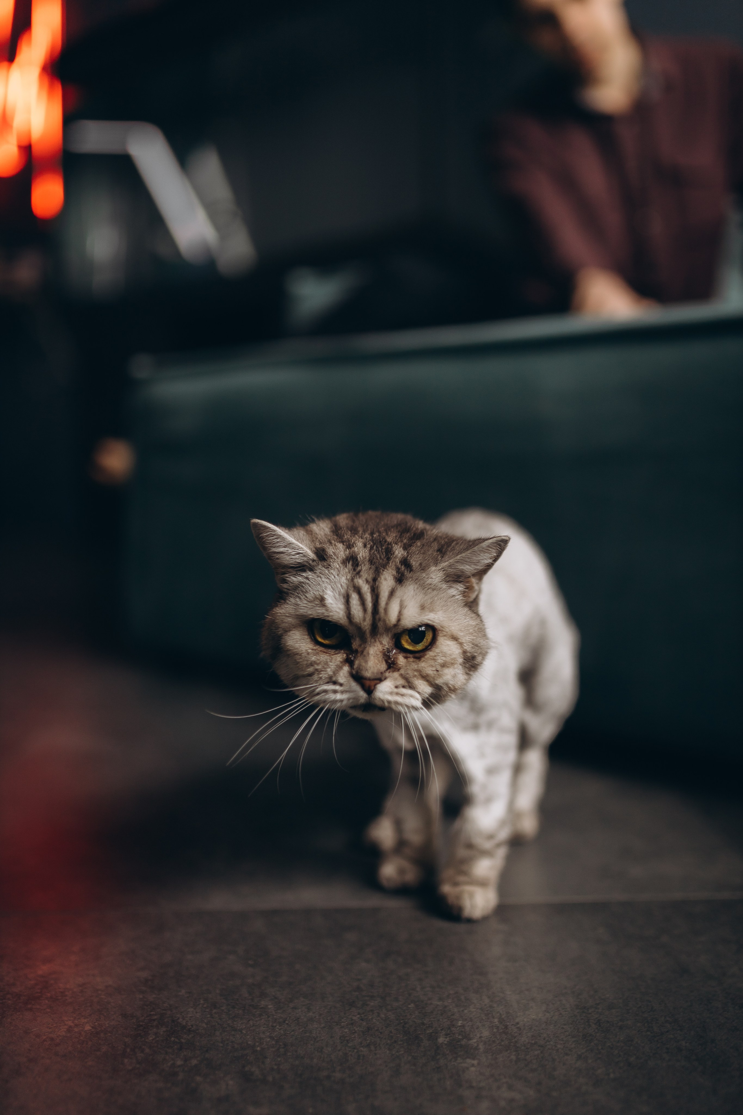 💙. Ph.nataluuna ФОТОГРАФ СЕРГИЕВ ПОСАД