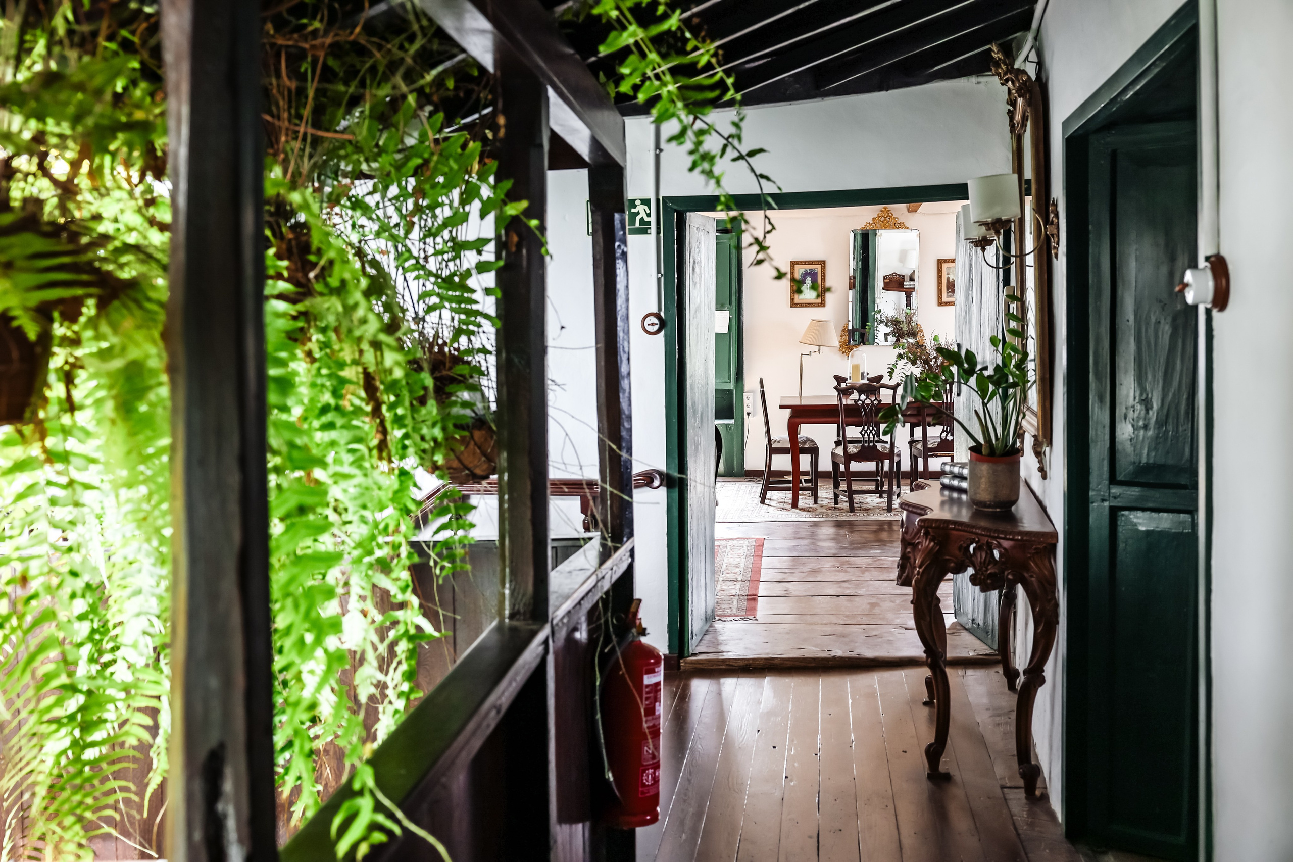 Emblemática Los Helechos. Фотограф Виктория Волкова. Москва