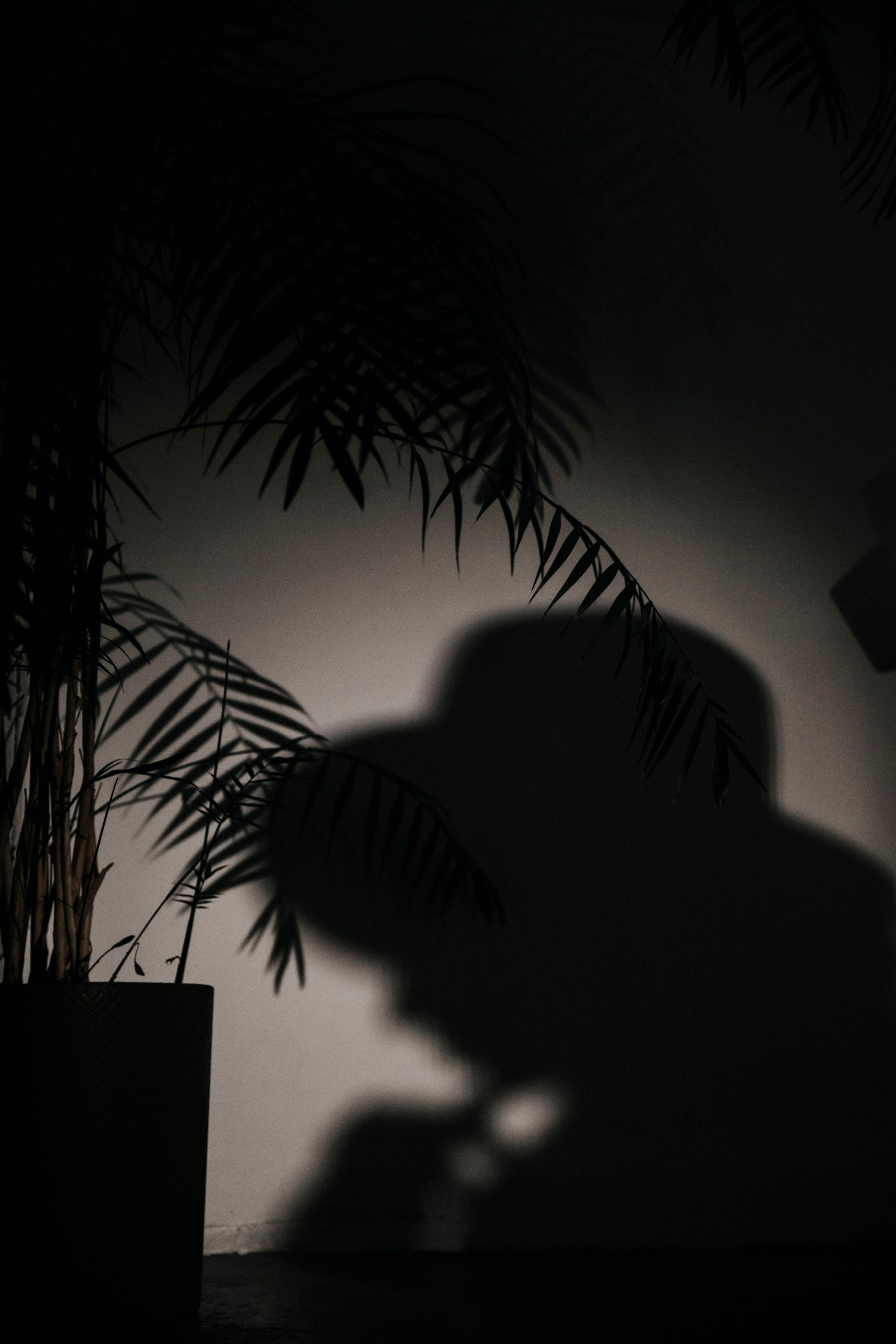 фотосессия в студии, съемка в студии, Владикавказ, Осетия, Кавказ, фотограф в горах, фотограф Осколкова Ульяна, фотосессия в студии, студийная съемка 