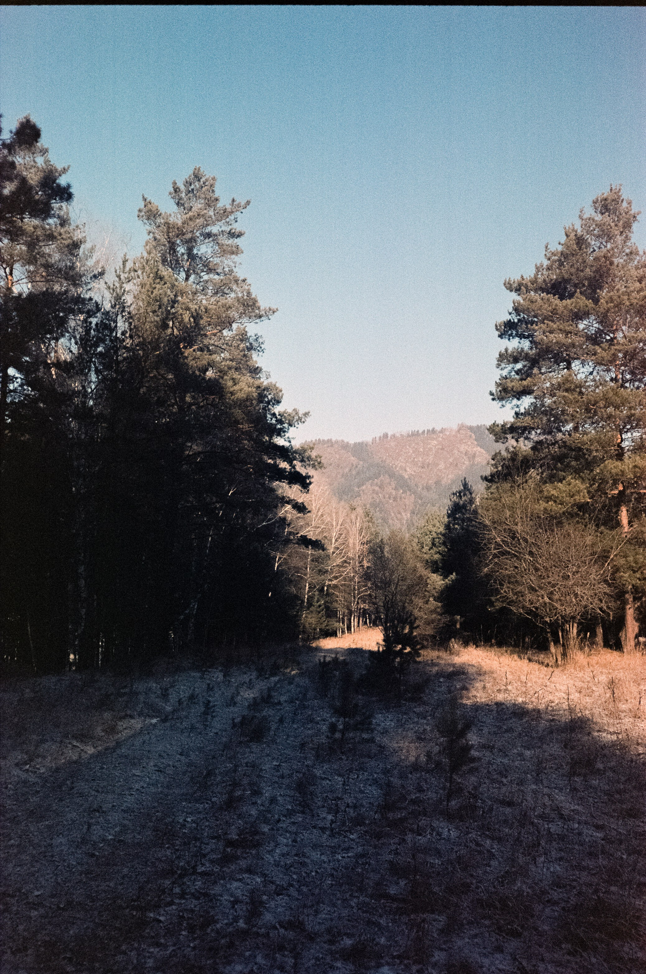 12 декабря: Кедровый остров, Семинская поляна, 13 декабря: поле у верт
