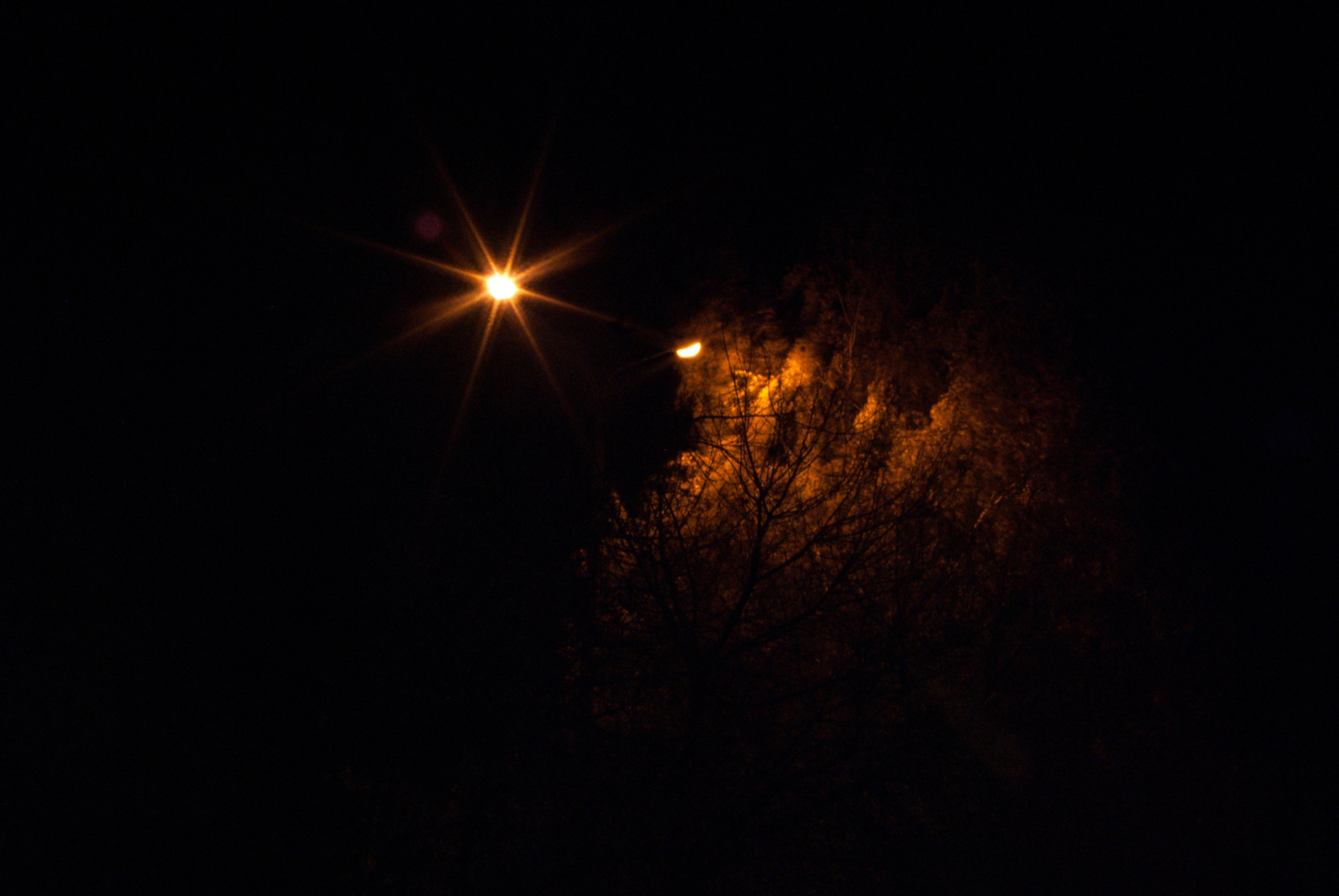 Этот прекрасный мир