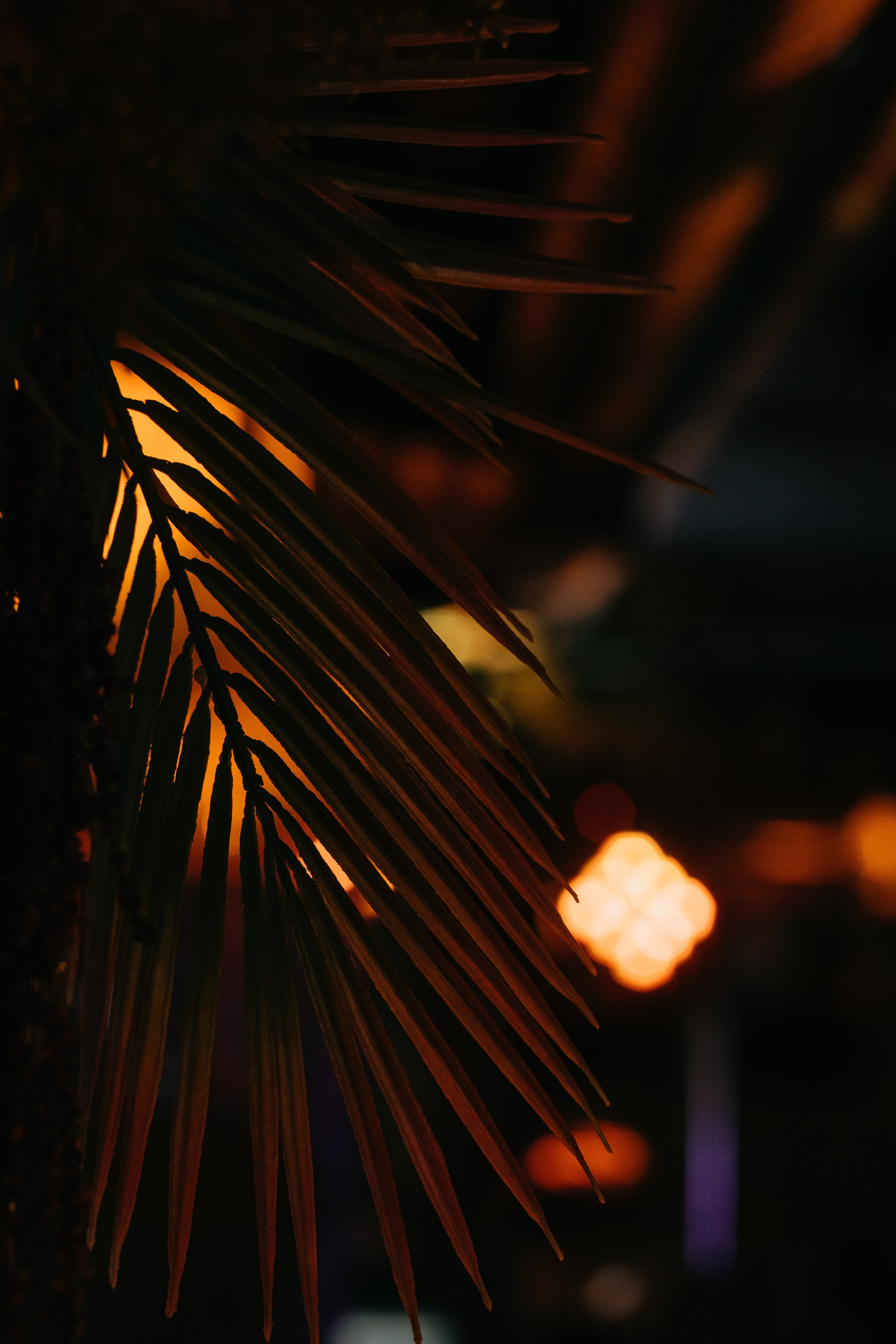 Подымим?. Свадебный фотограф Александра Тюлякова