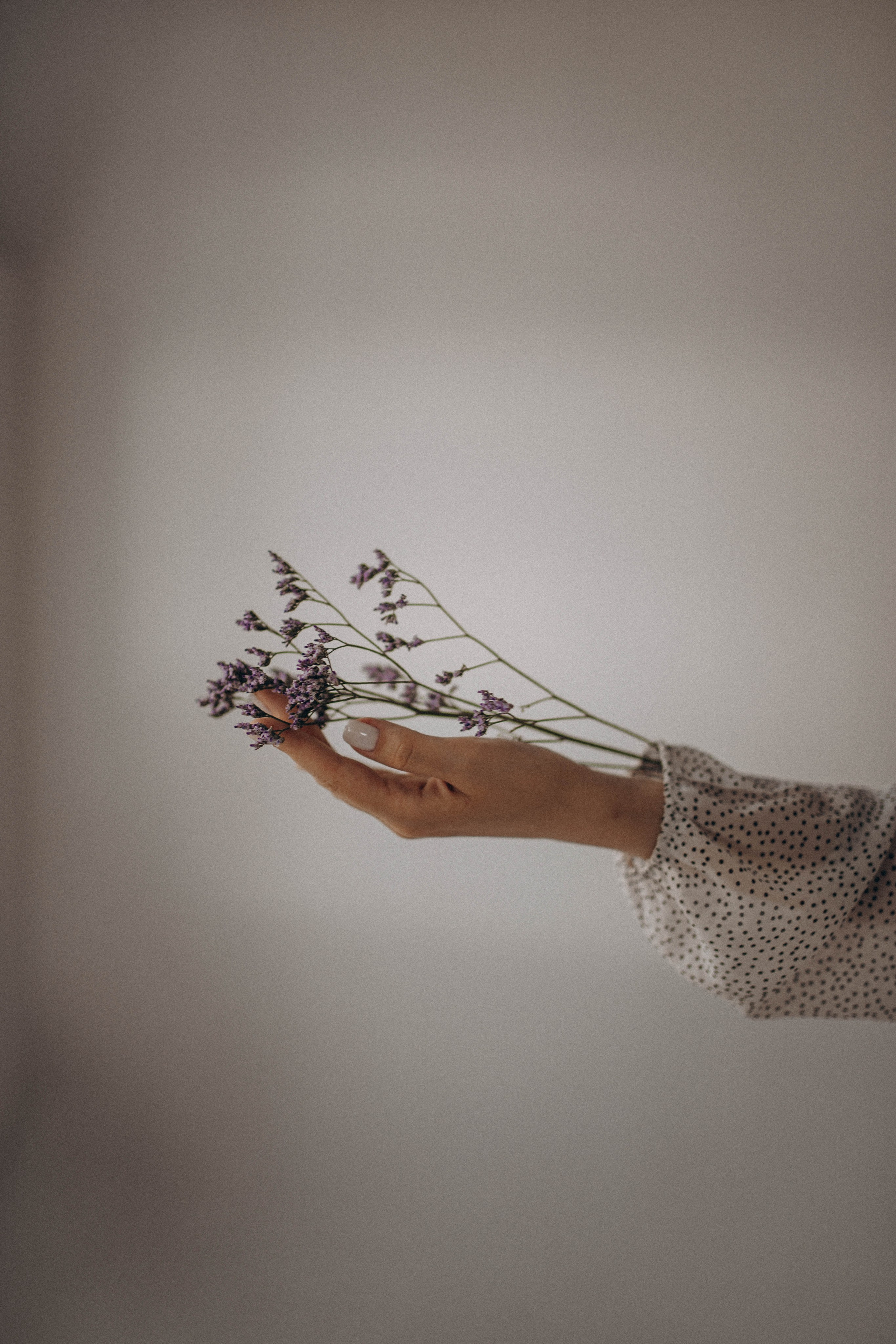 Анна |Санкт-Петербург. Свадебный фотограф из Санкт-Петербурга