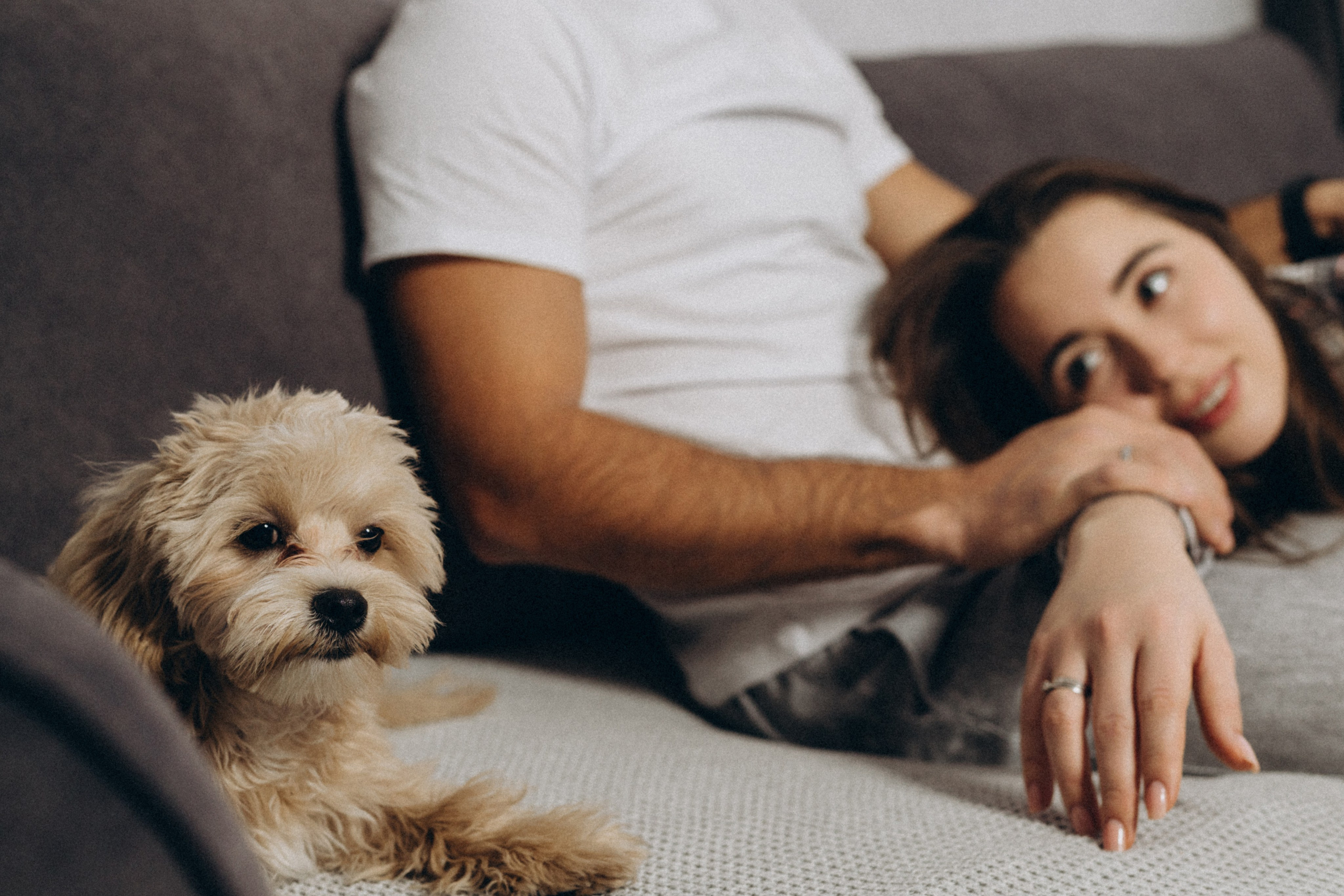 Чай. Плед. Мы. Свадебный фотограф в Ростове-на-Дону