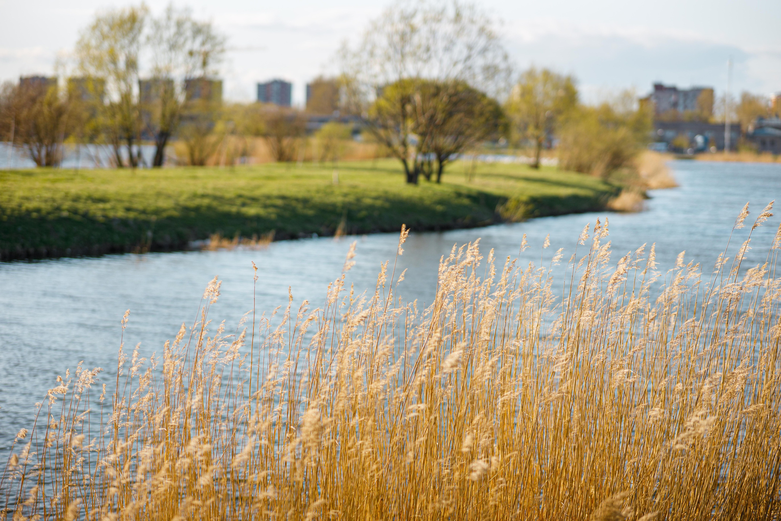 Санкт-Петербург. Фотограф Балаев Михаил