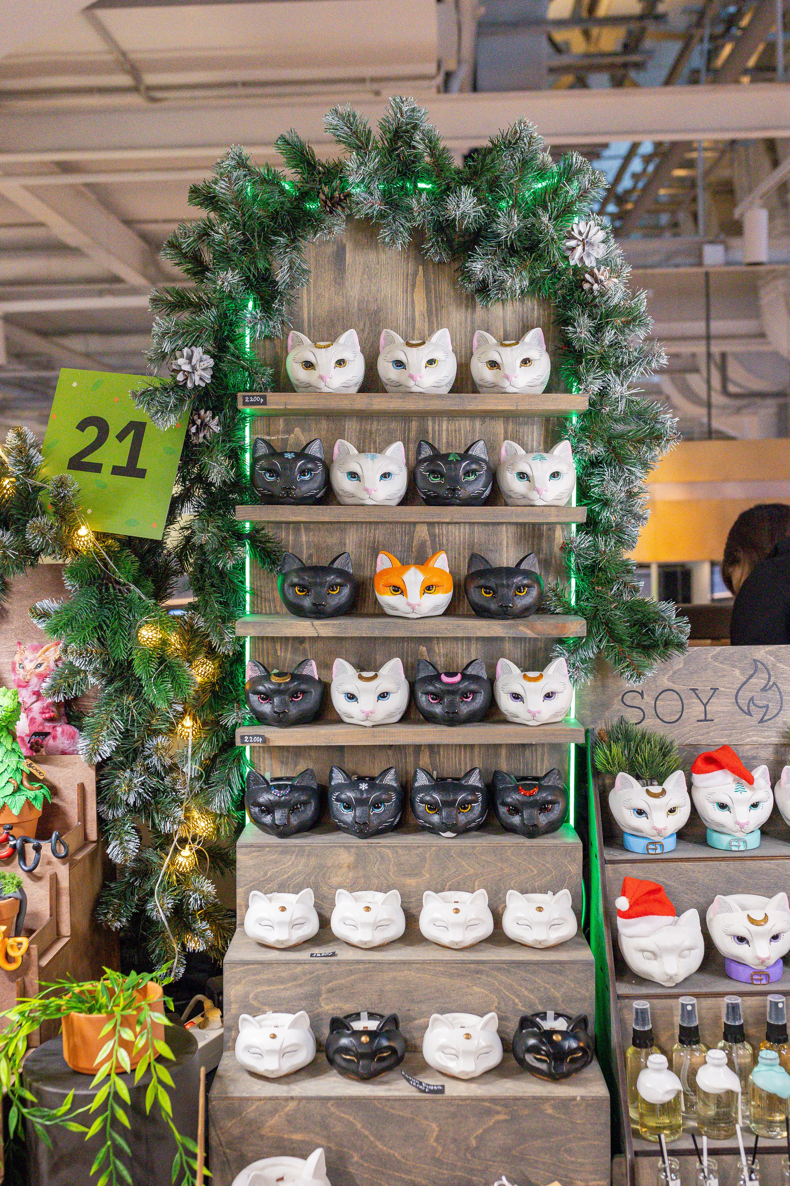 Growbox декабрь 2025. Александра Куликова фотограф, Москва