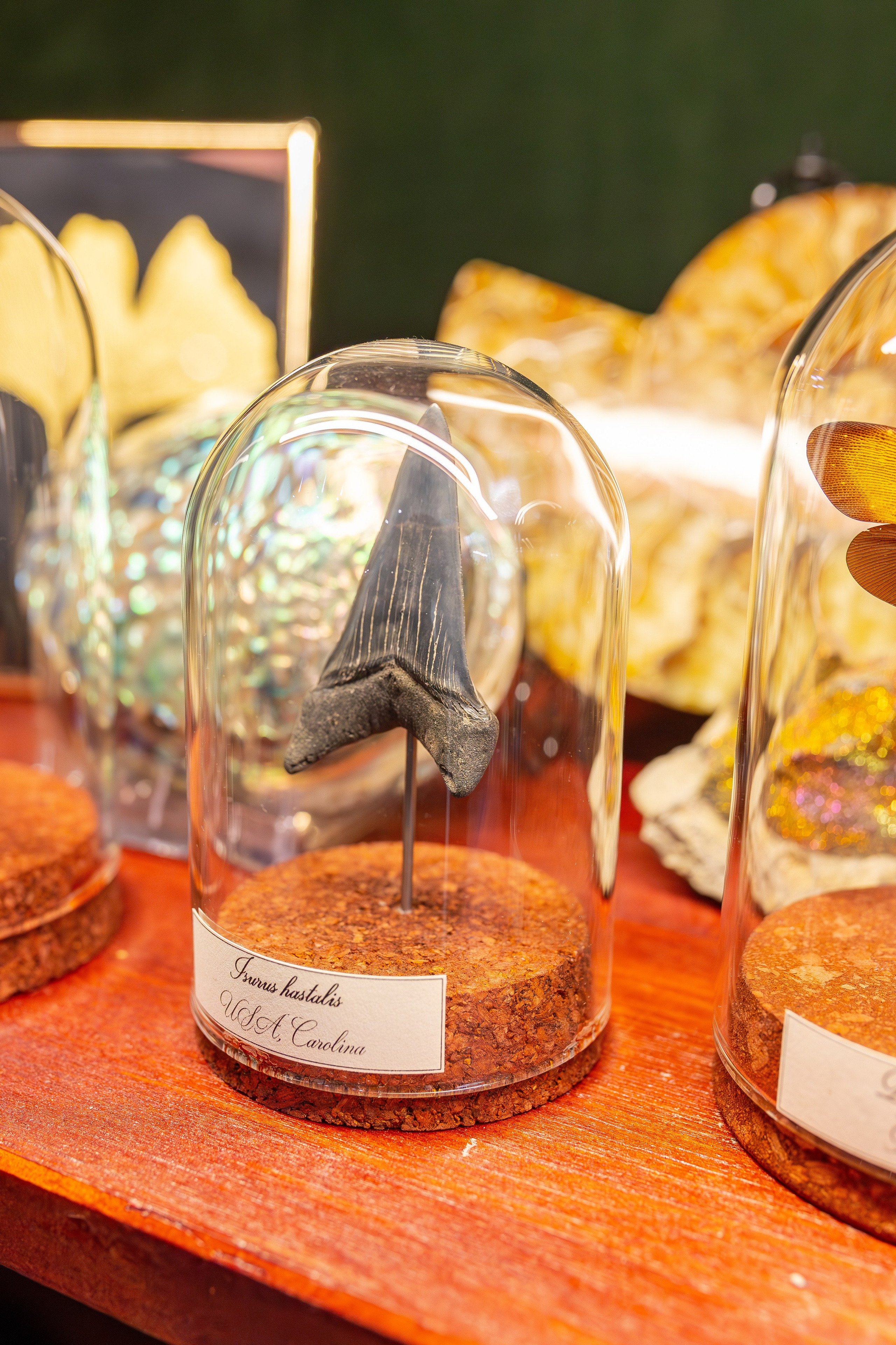 Монстериум 11–12 октября. Александра Куликова фотограф, Москва