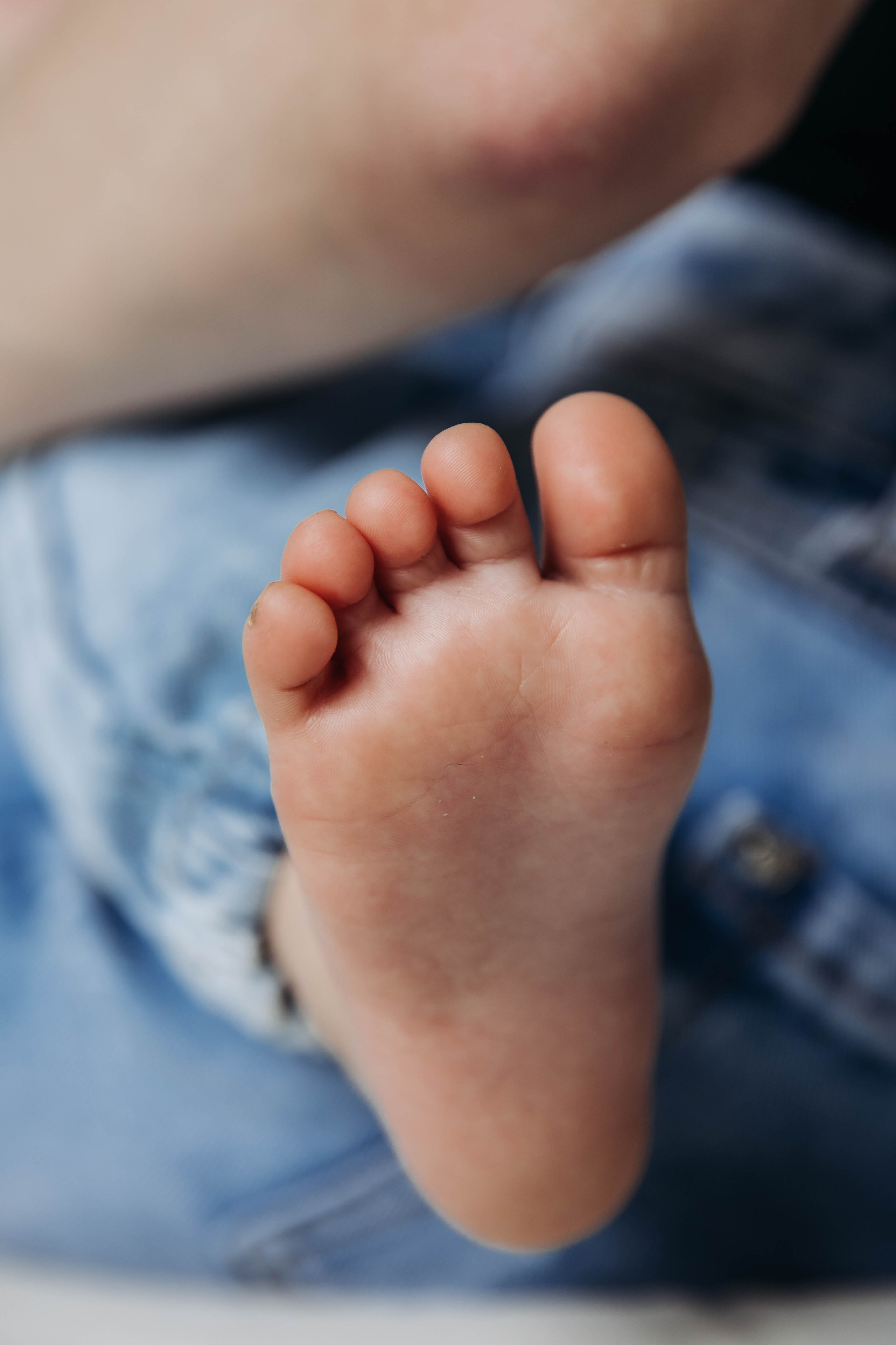 Артем 1 годик. Свадебный и семейный фотограф в Санкт-Петербурге Лолита Евстифеева