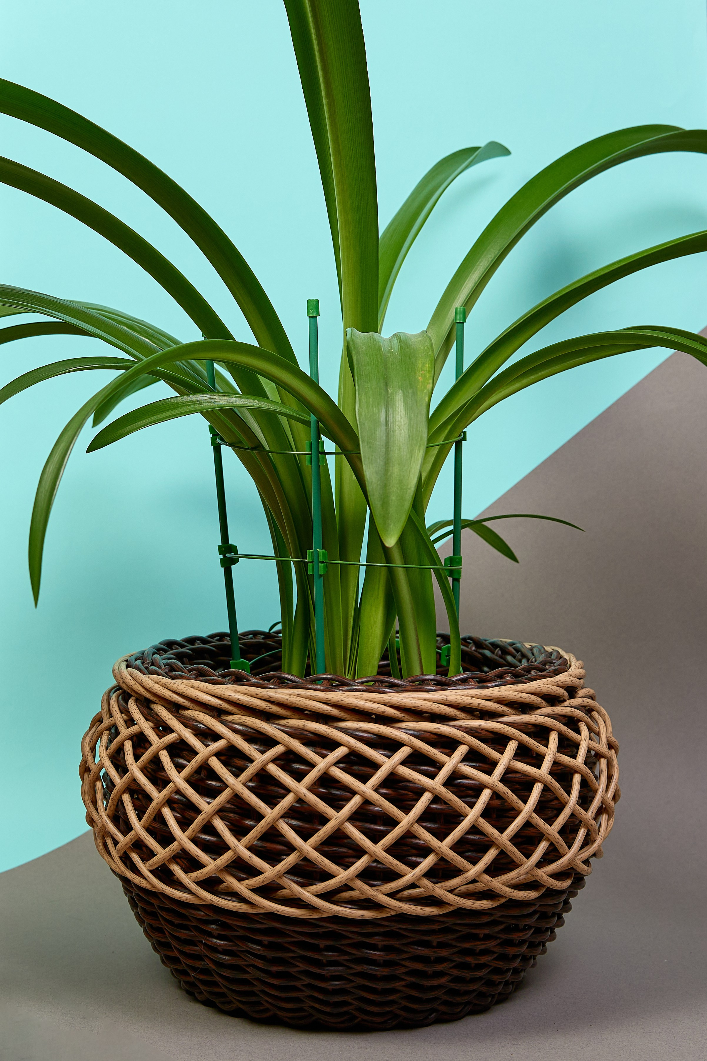 Фотосъёмка для маркетплейсов. Предметный и репортажный фотограф Алексей Кротов