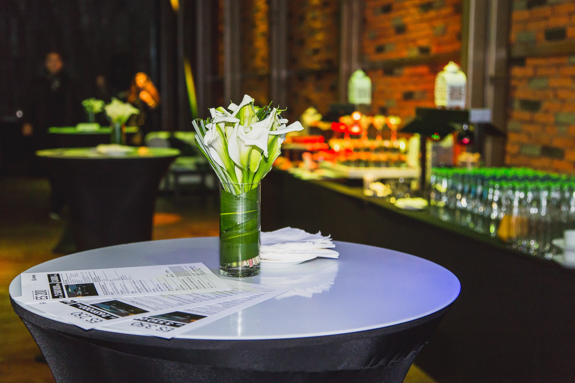 Презентация Lexus ES. Видеооператор/Фотограф Николай Завьялов