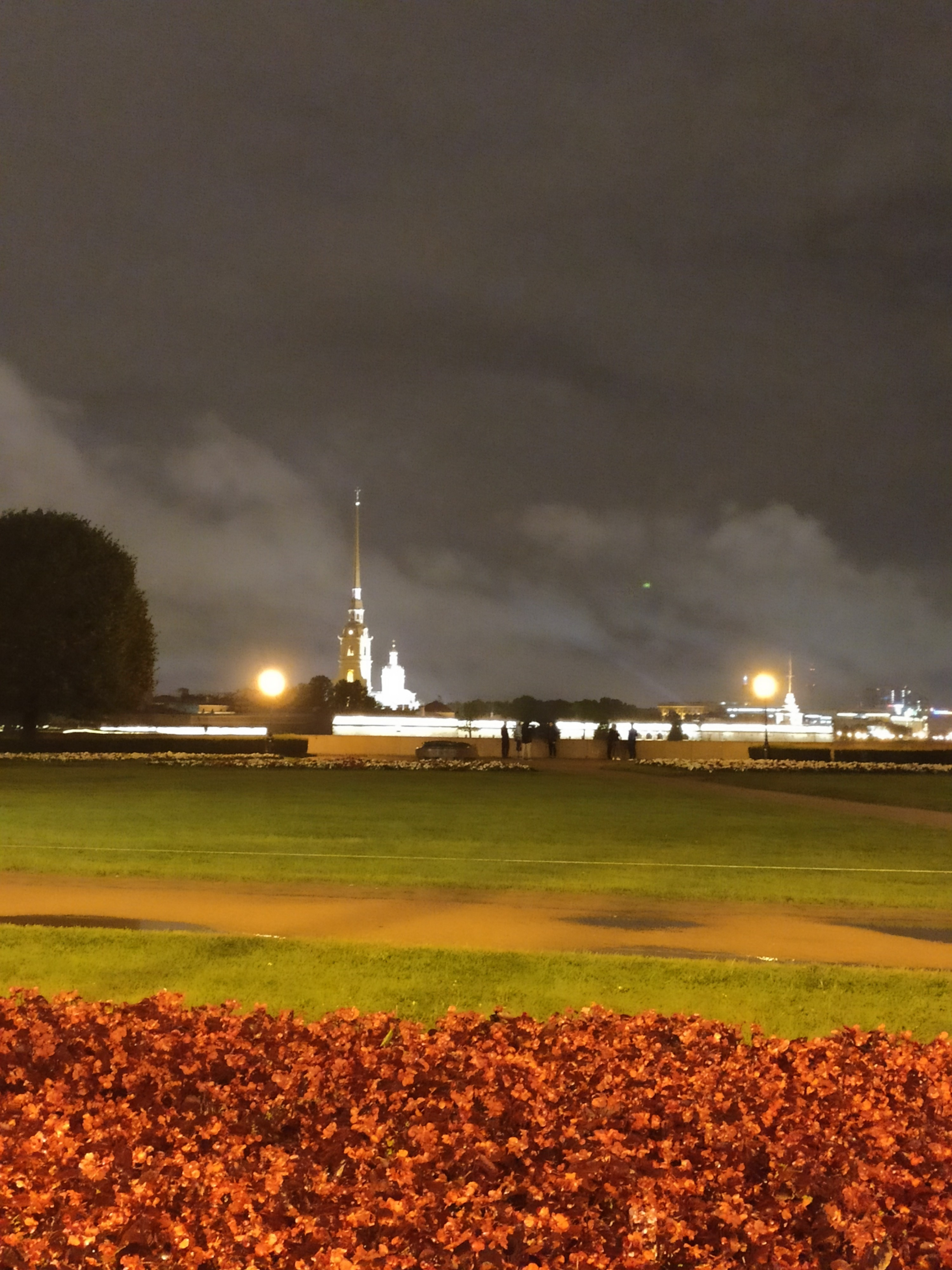 Стрелка ВО летом. Зимой здесь новогодние поля светящихся шариков. Летом - зелень