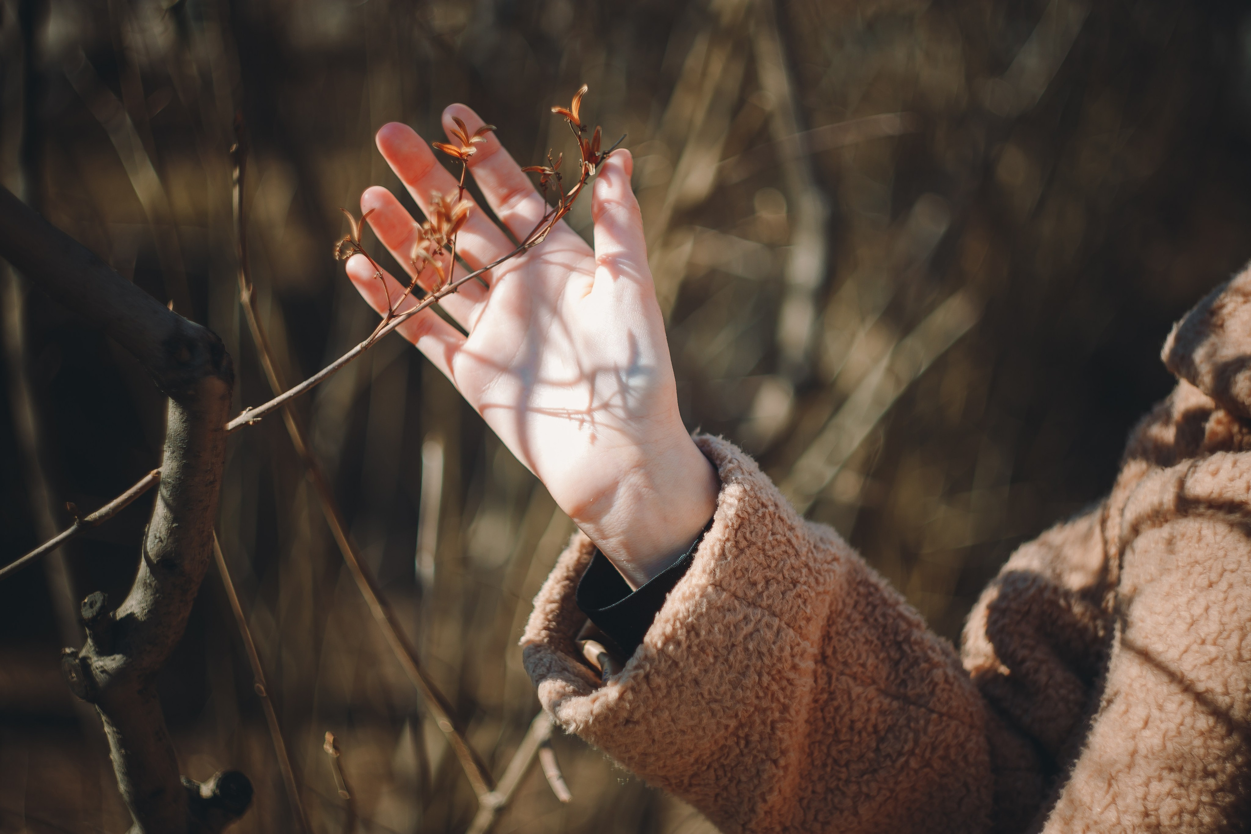 НХ. Фотограф в Абакане Николай Окунев