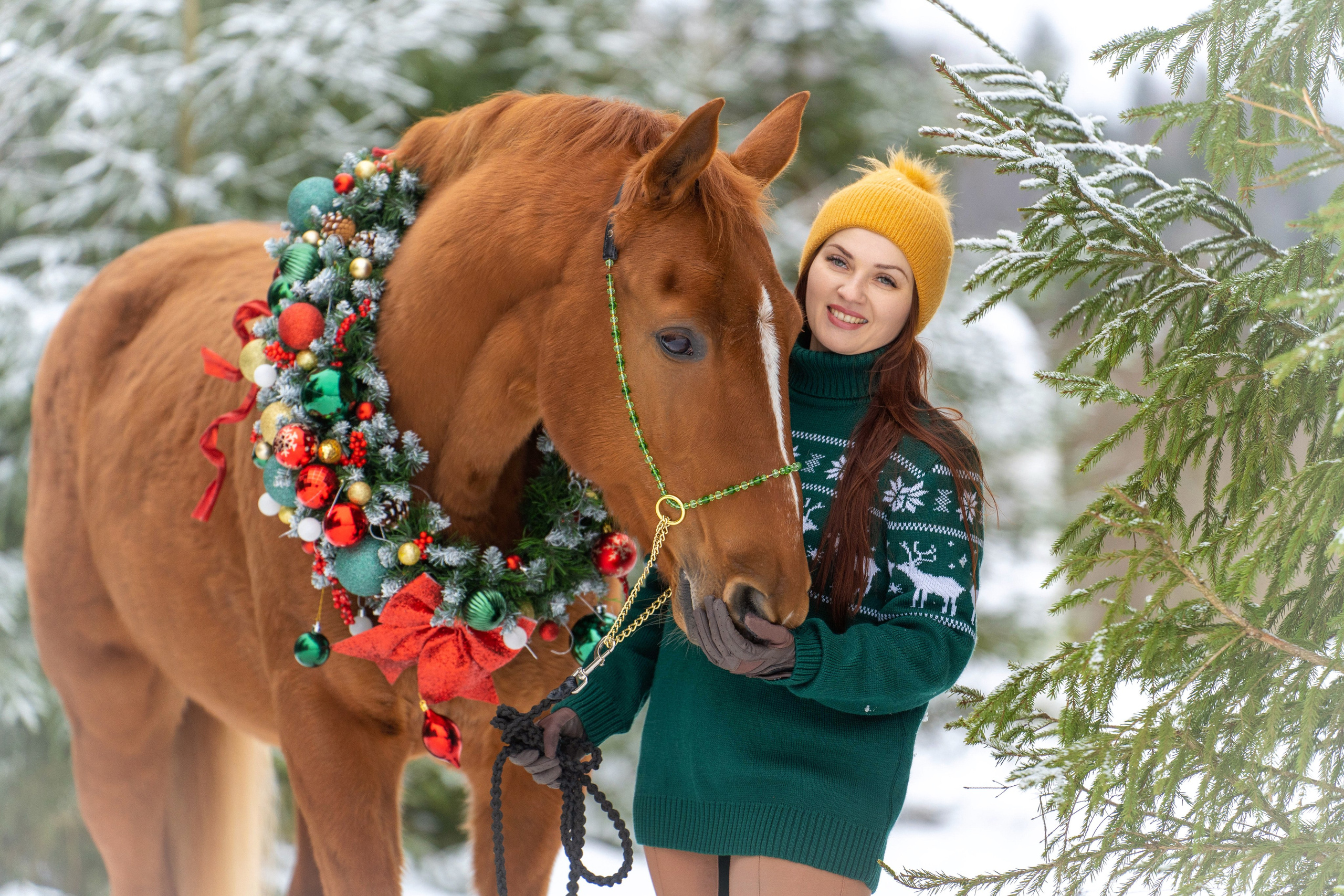 Новогодний день. Фотограф Дарья Соколовская
