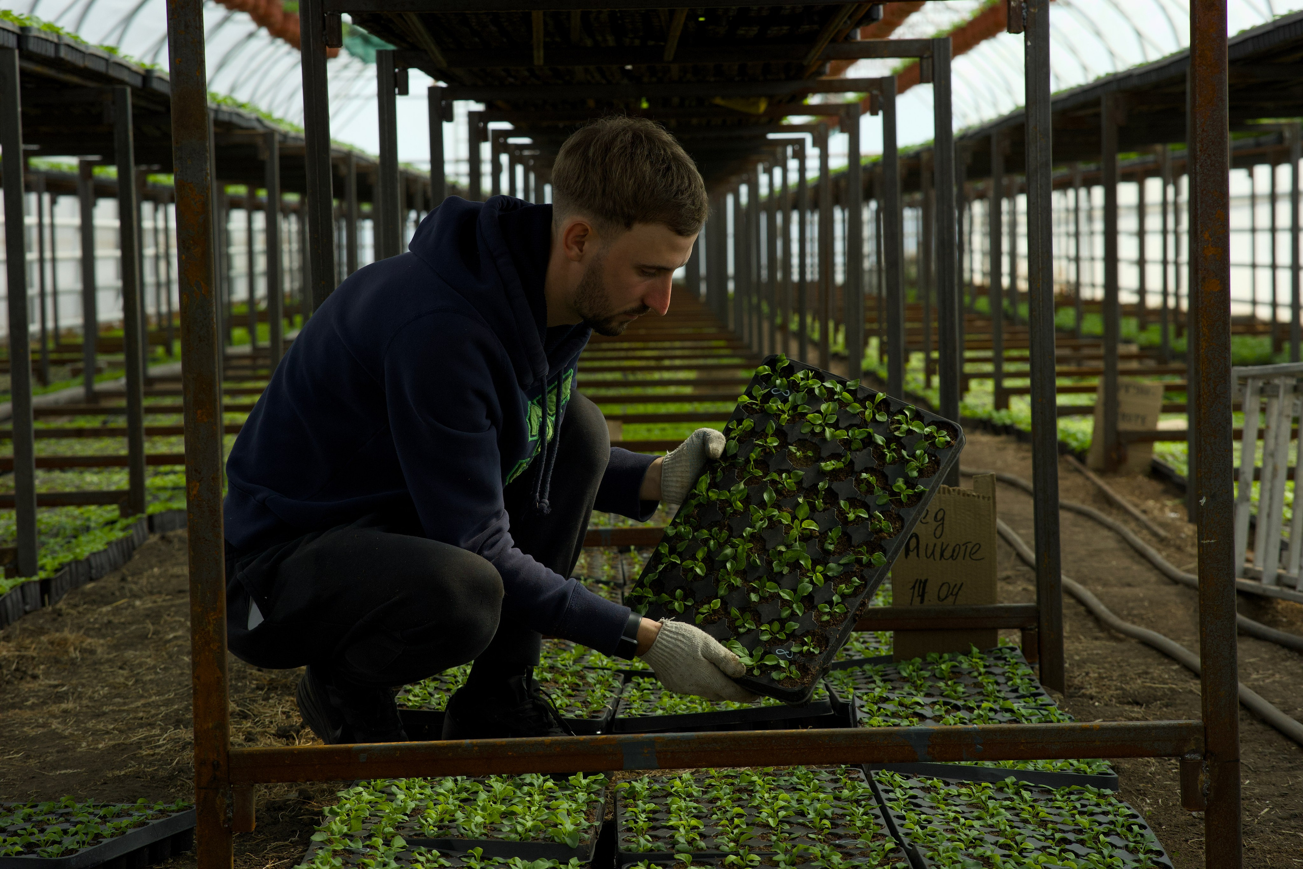 Съёмка для питомника растений «Лаки» под Екатеринбургом. Фотограф в Екатеринбурге: венчания, крещения, репортаж. Видео и трансляции. Официальный фотограф Екатеринбургской епархии