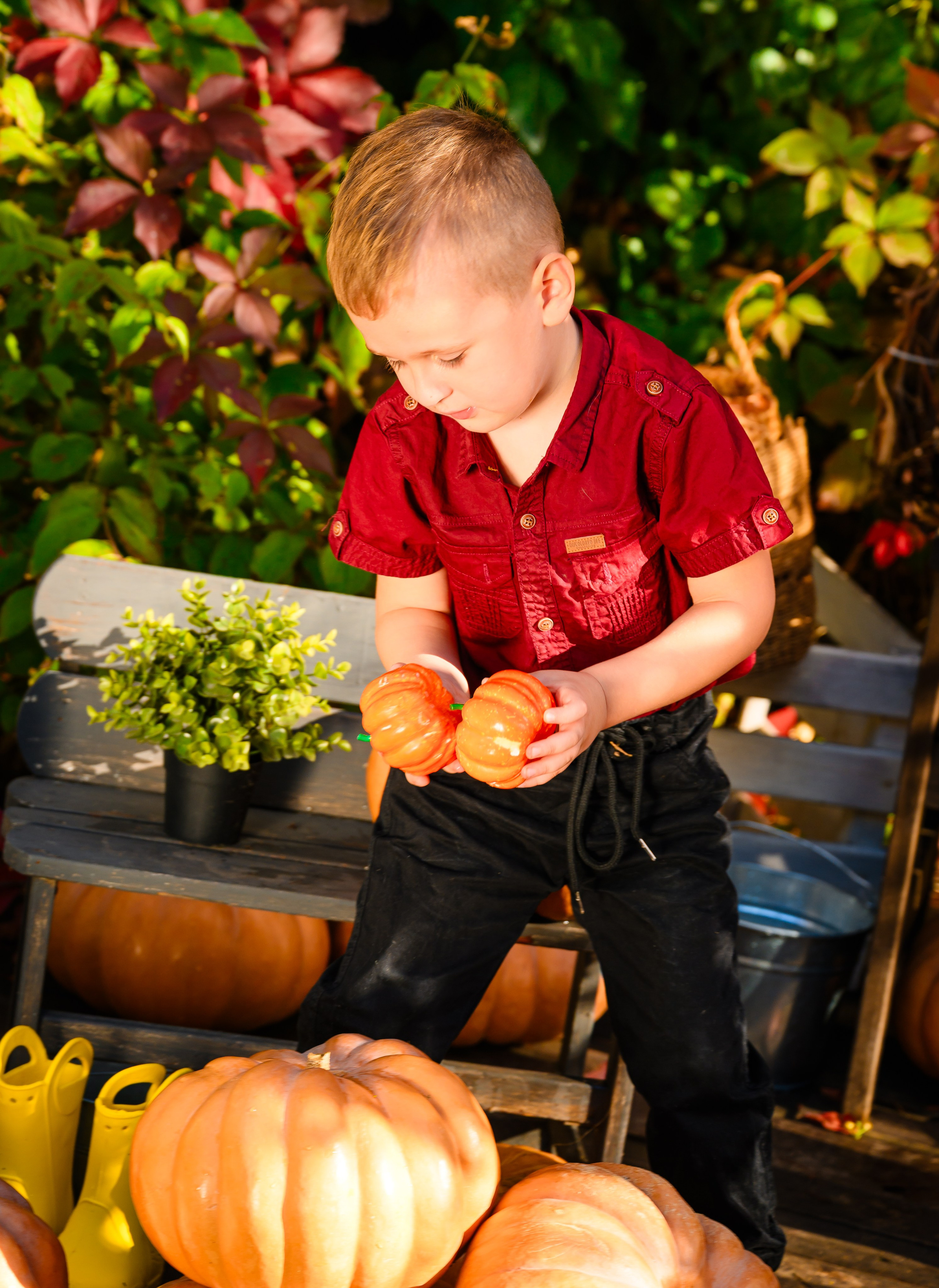 Семейные и детские фотосессии. Студийный и свадебный фотограф и видеограф в Севастополе — Юлия Макаренко