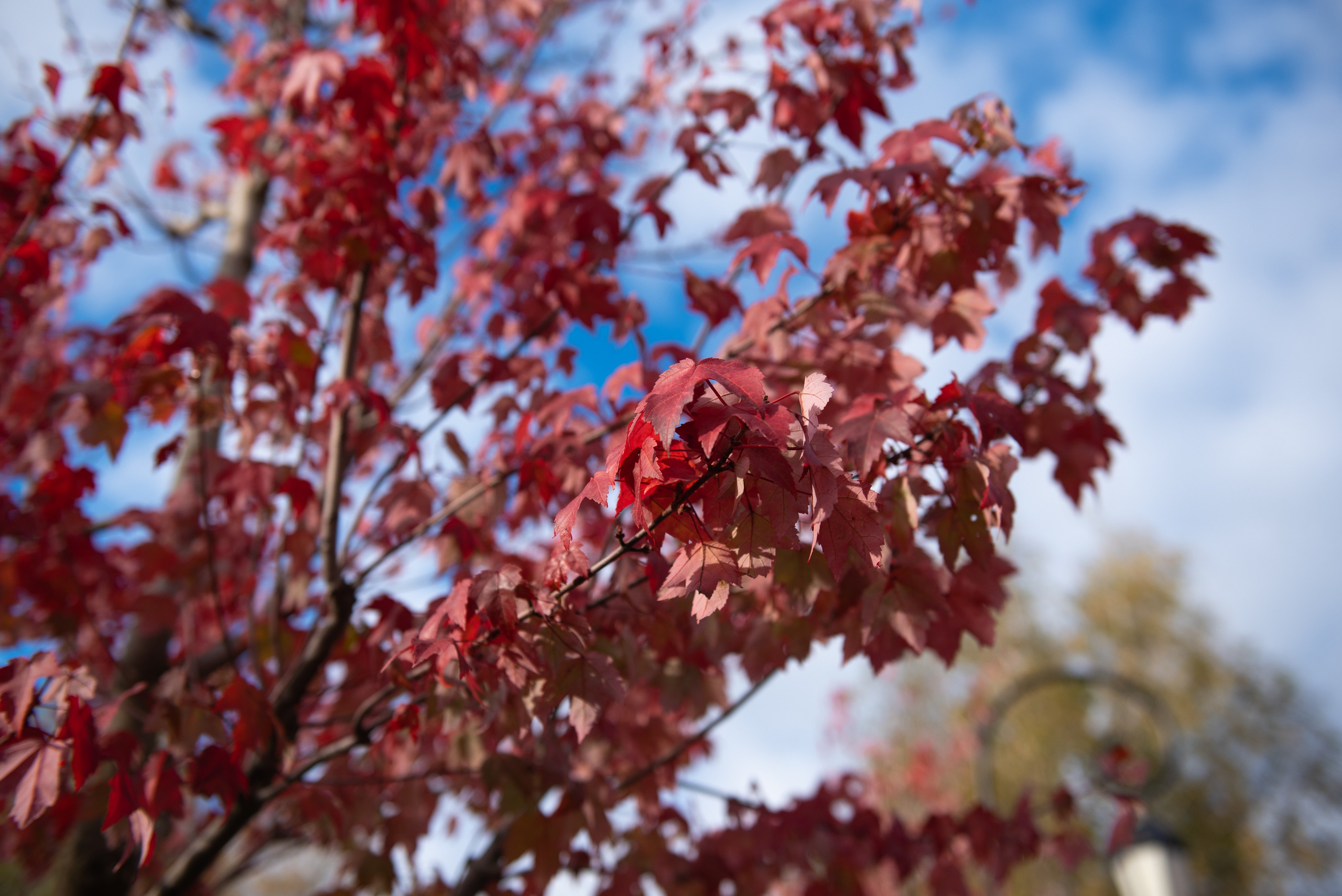 Печоры. Портретный и архитектурный фотограф в Москве и Санкт-Петербурге