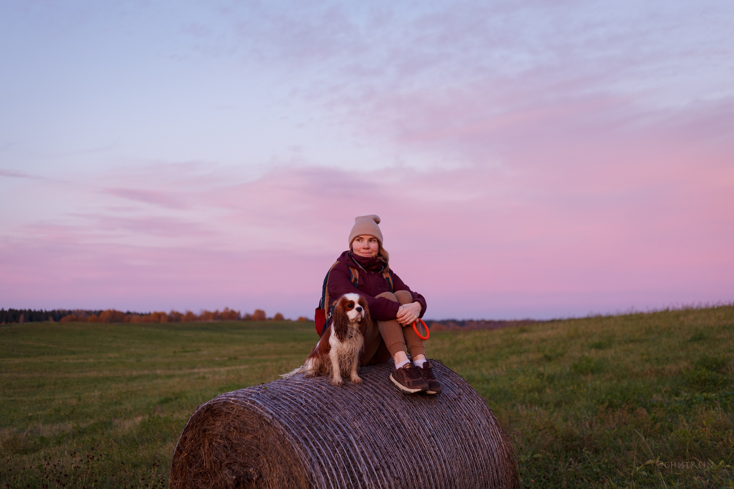 Октябрьский закат в полях. Алина и Лео. Фотограф-анималист Наталия Чистюхина в г. Сосновый Бор и ЛО