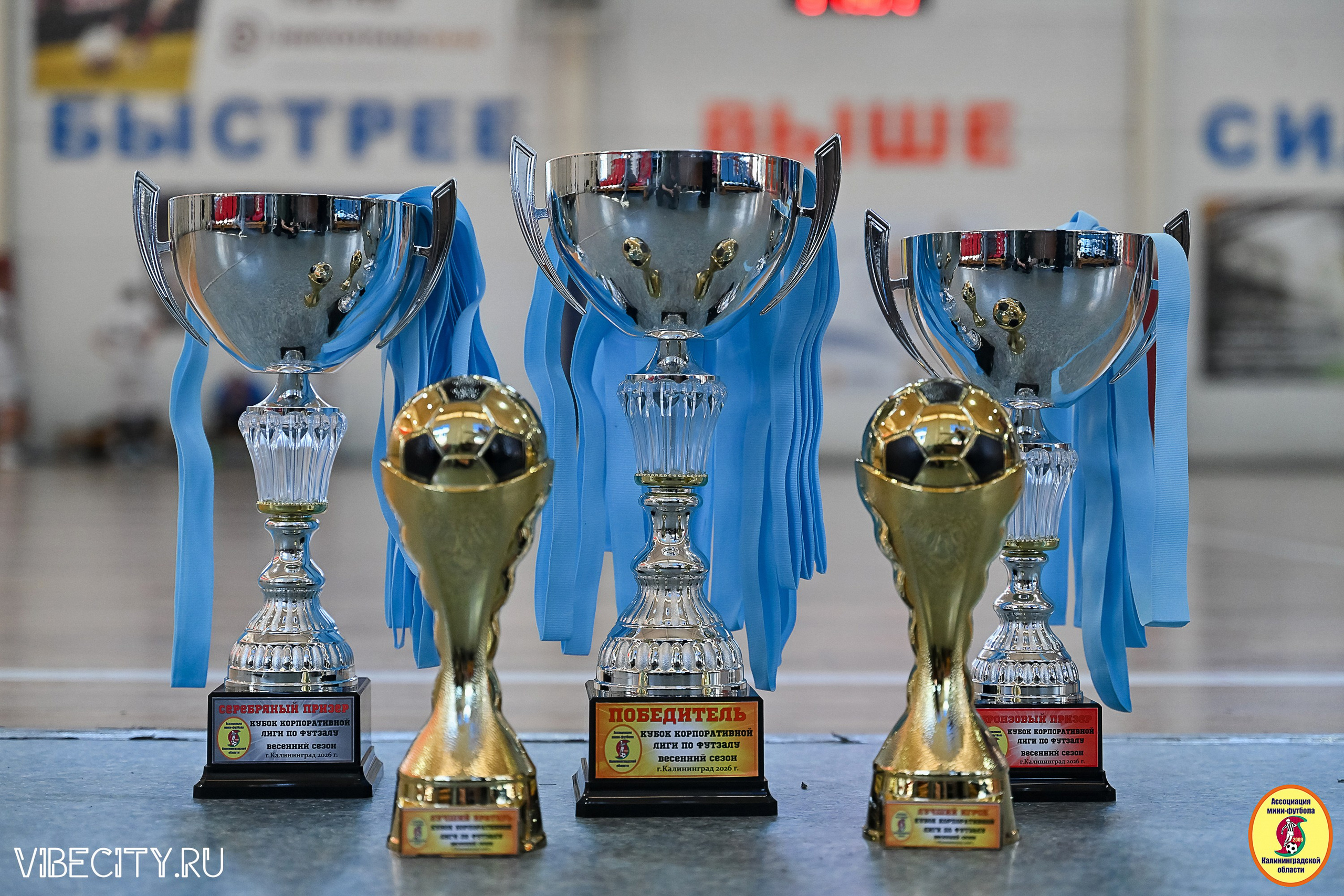 МФЛ СанТермо. VIBECITY.RU Вайб Сити Ру Фоторепортажи Фотоотчеты Калининград