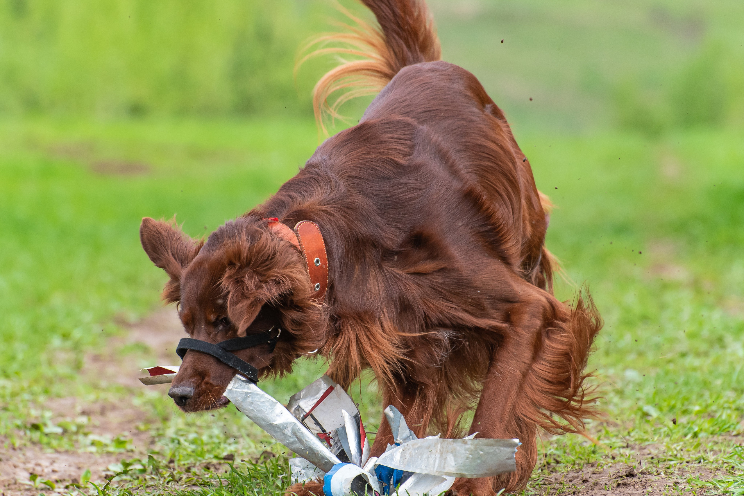 Фотографии с Курсинга. Фотограф Макс Огурцов в Нижнем Новгороде