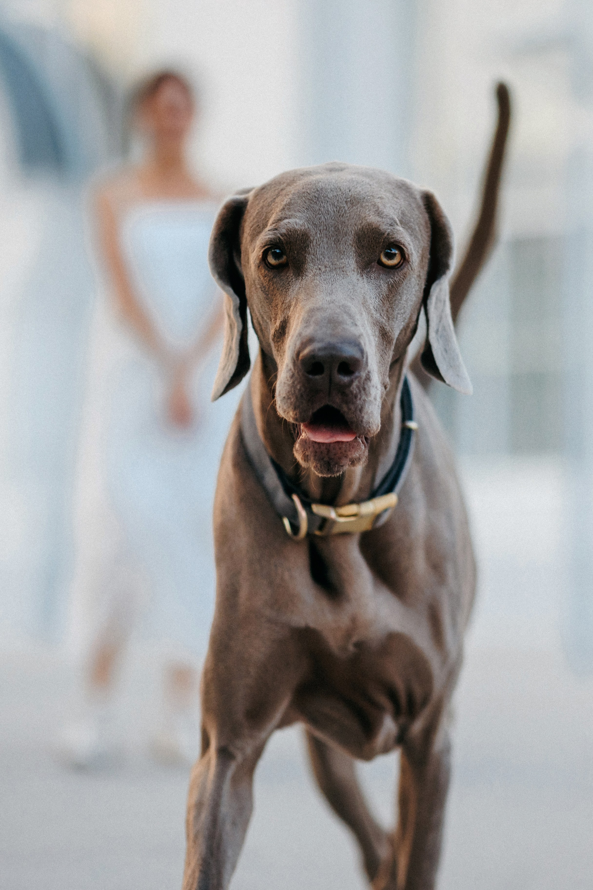 Соня и Майли. Фотограф-анималист Елена Радченко, Москва