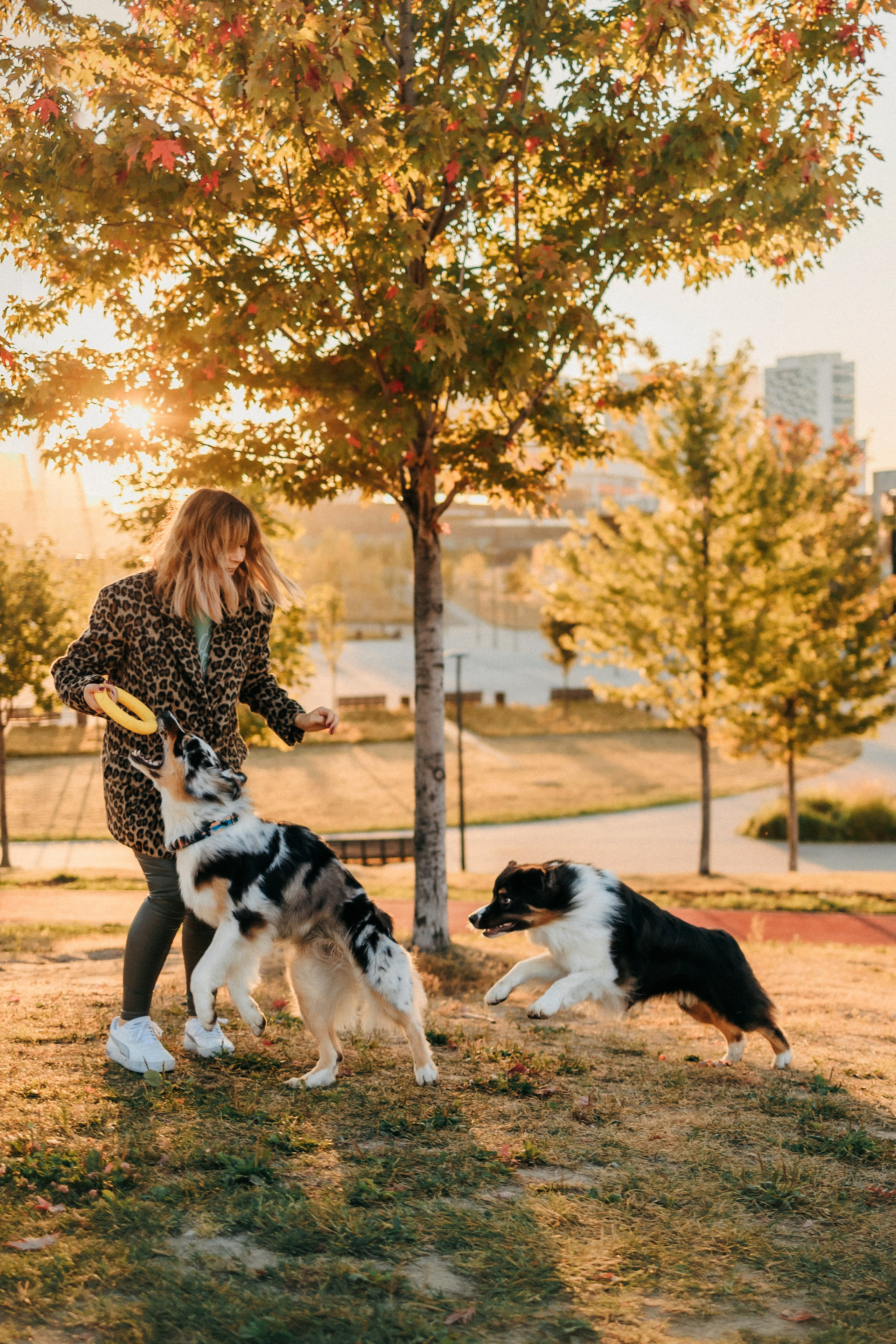 Аня, Чарли и Ева. Фотограф-анималист Елена Радченко, Москва