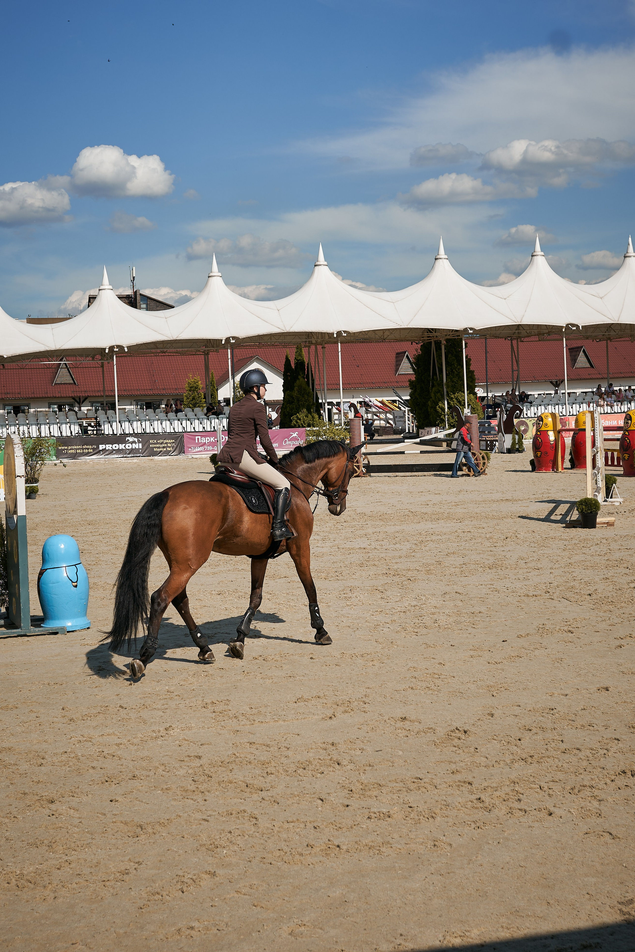 Алиса и Кон Челла В. Фотосессии с лошадьми в Москве, Новосибирске