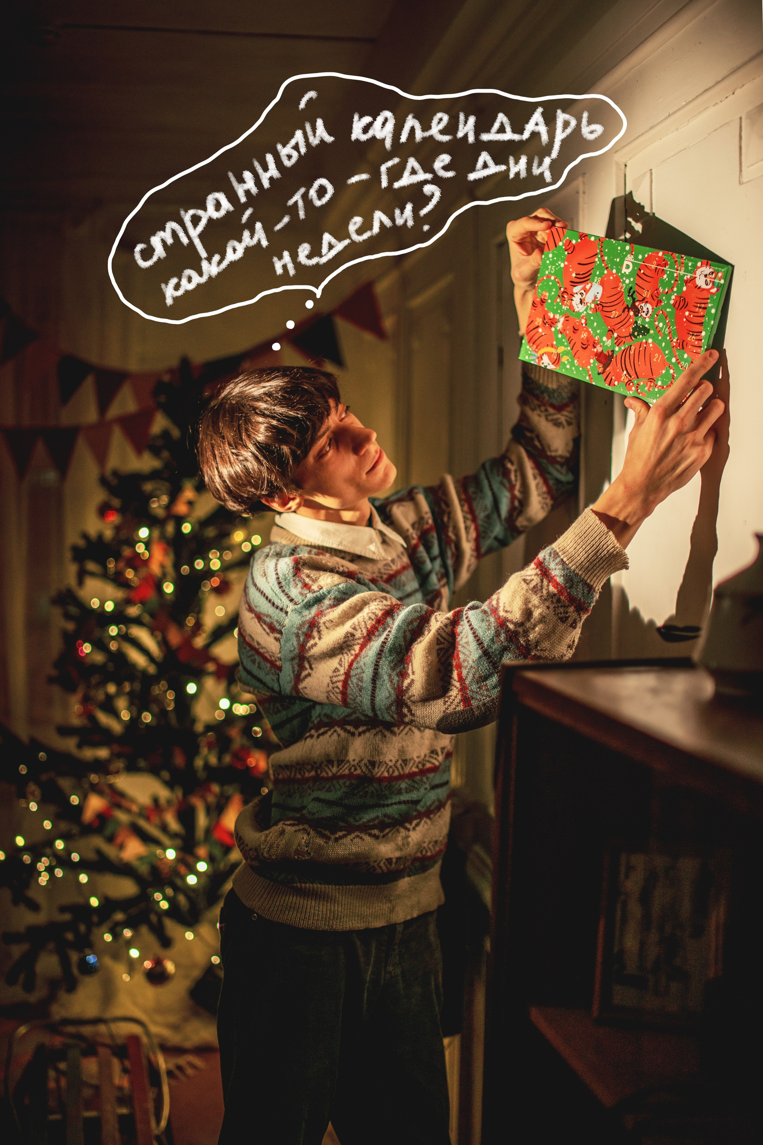 New year's project for «rubiscookies». Фотограф в Иркутске | Алмамедова Кристина