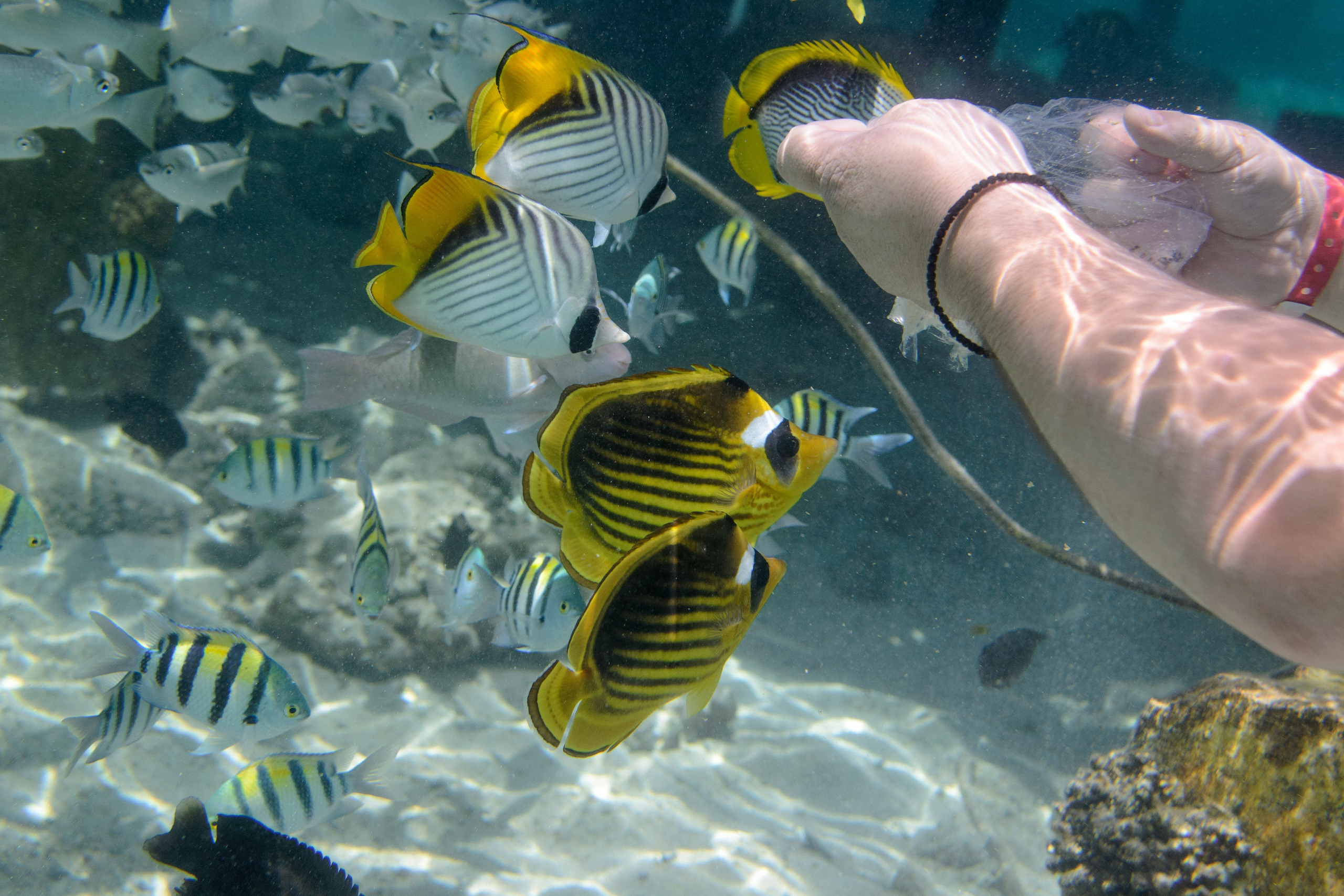 Море. Фотограф в Санкт-Петербурге Ибрагимова Алина