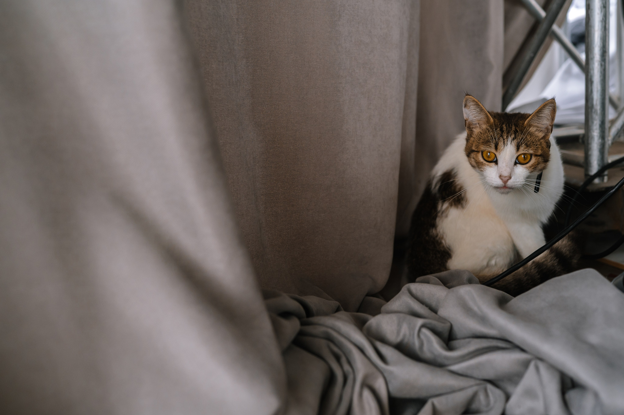 Михаил и Юлия. Свадебный Фотограф Челябинск Уфа Егорова Анастасия